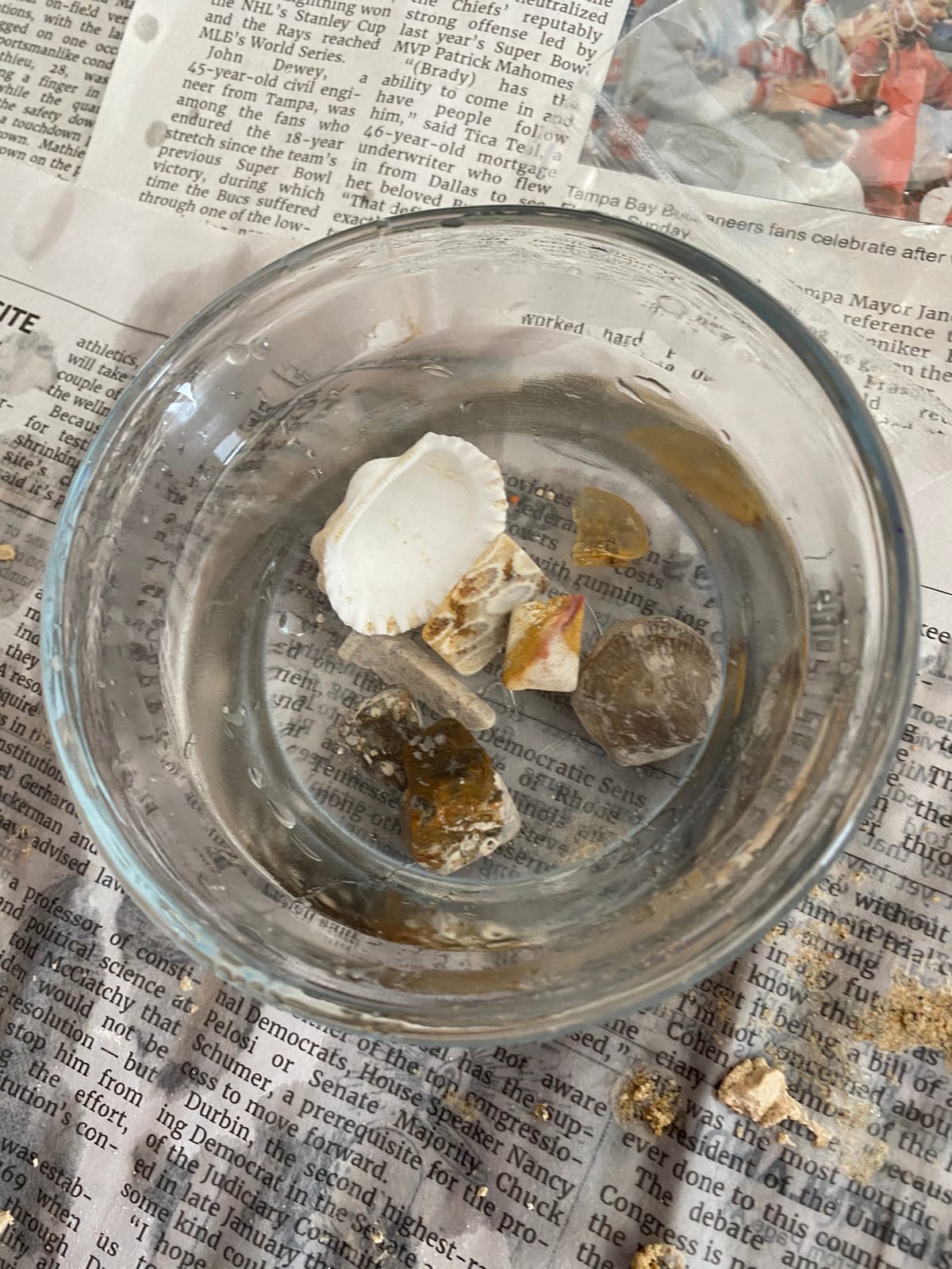 Thames & Kosmos I Dig It! Fossils - Real Fossils Excavation Kit | Science Experiment Kit | Excavate Real Fossil Specimens | Paleontology | 2018 Oppenheim Toy Portfolio Platinum Award customer photo 1