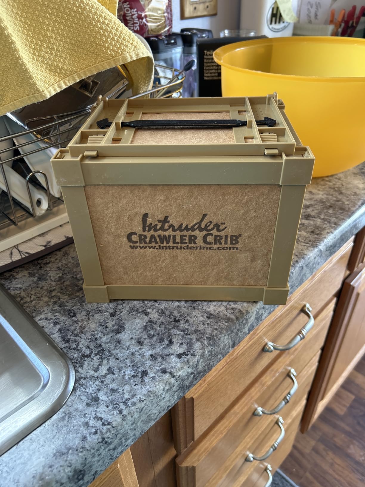INTRUDER NightCrawler Worm Bait Box, Keeps Bait Fresh, Packed with Good N' Lively Worm Bedding customer photo 1