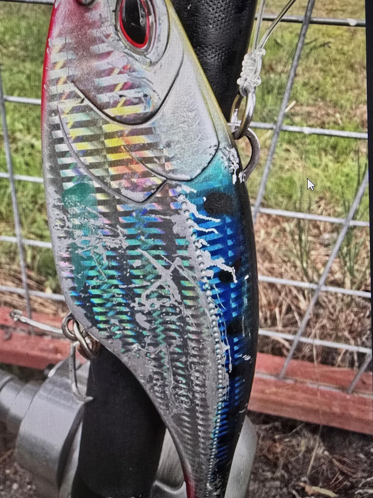 Nomad Design Chug Norris 6