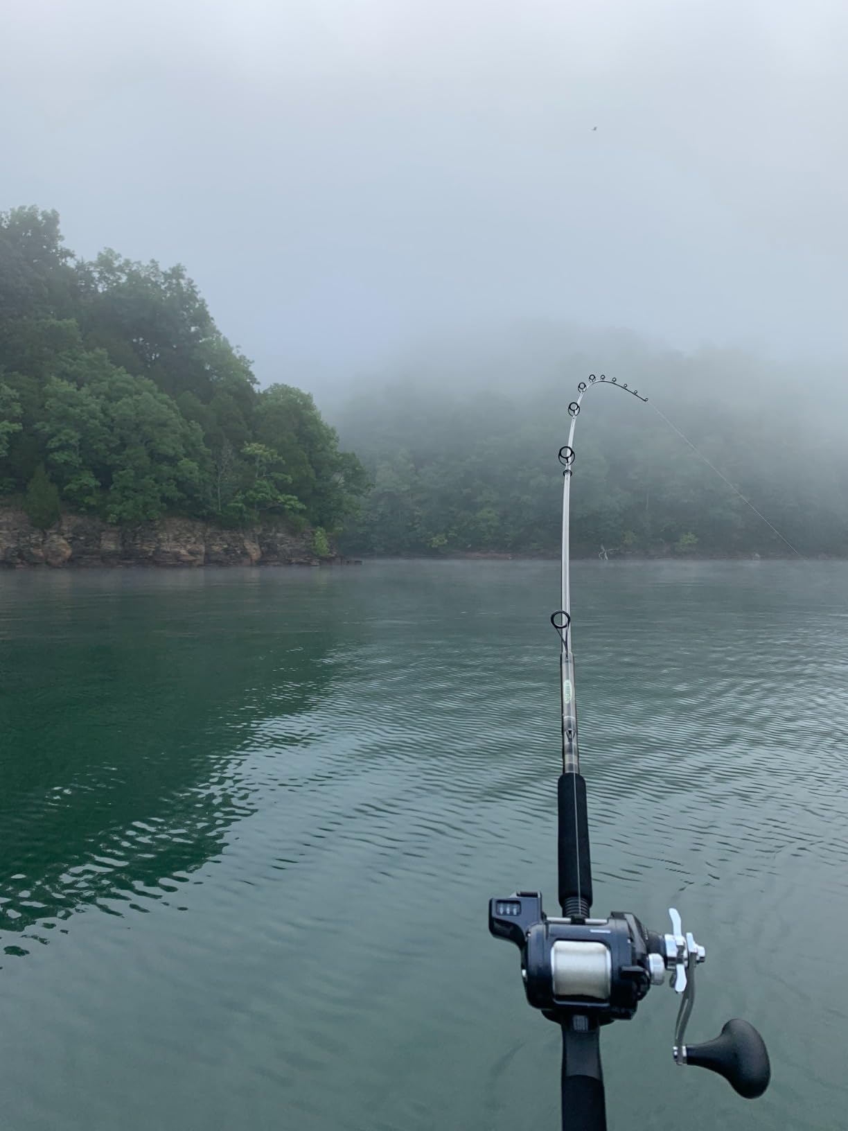 Shimano Tekota A Conventional Trolling Reel customer photo 1