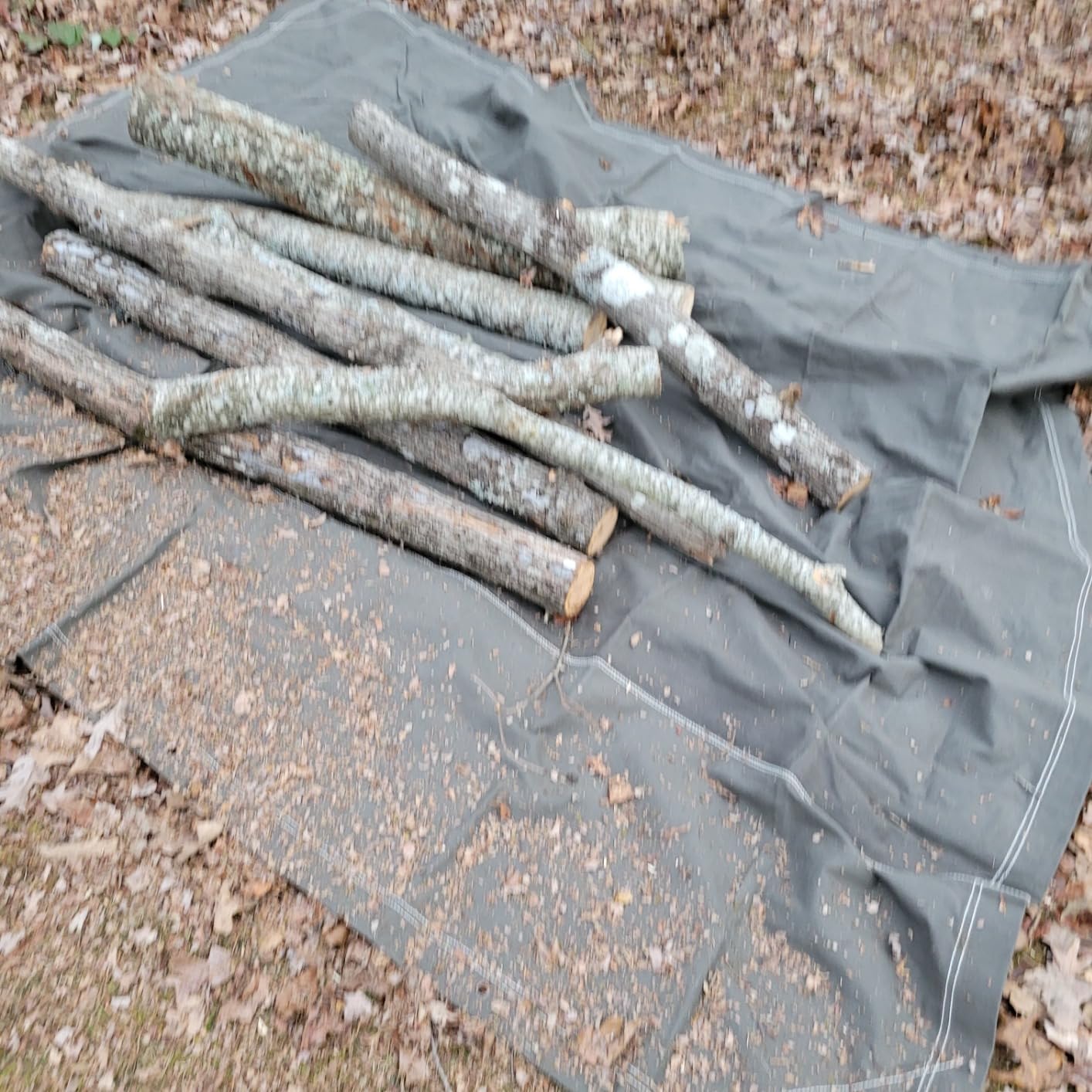 Stansport Heavy Duty Canvas Tarp customer photo 2