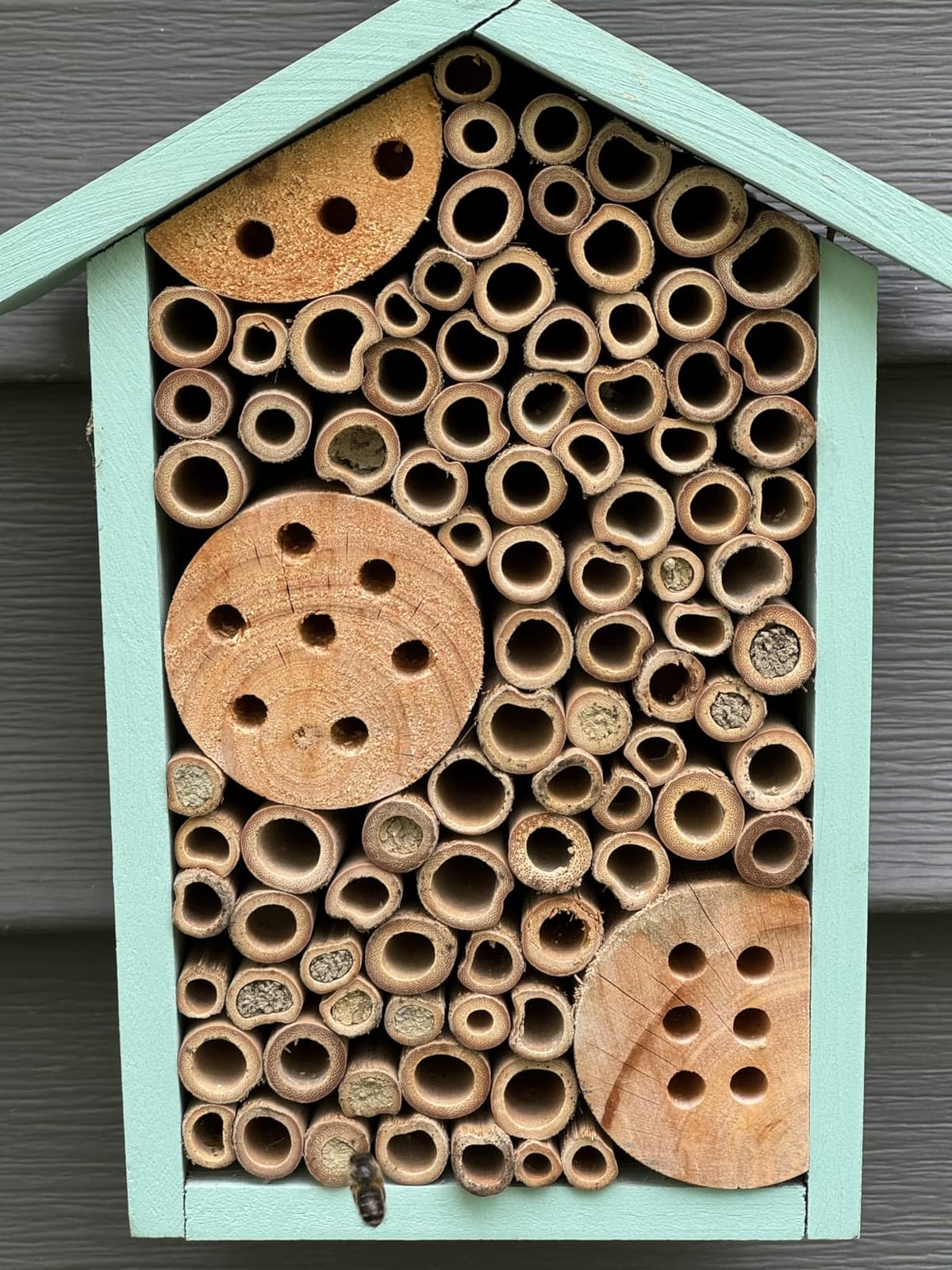 Nature's Way Bird Products PWH1-C Teal Bee House customer photo 1