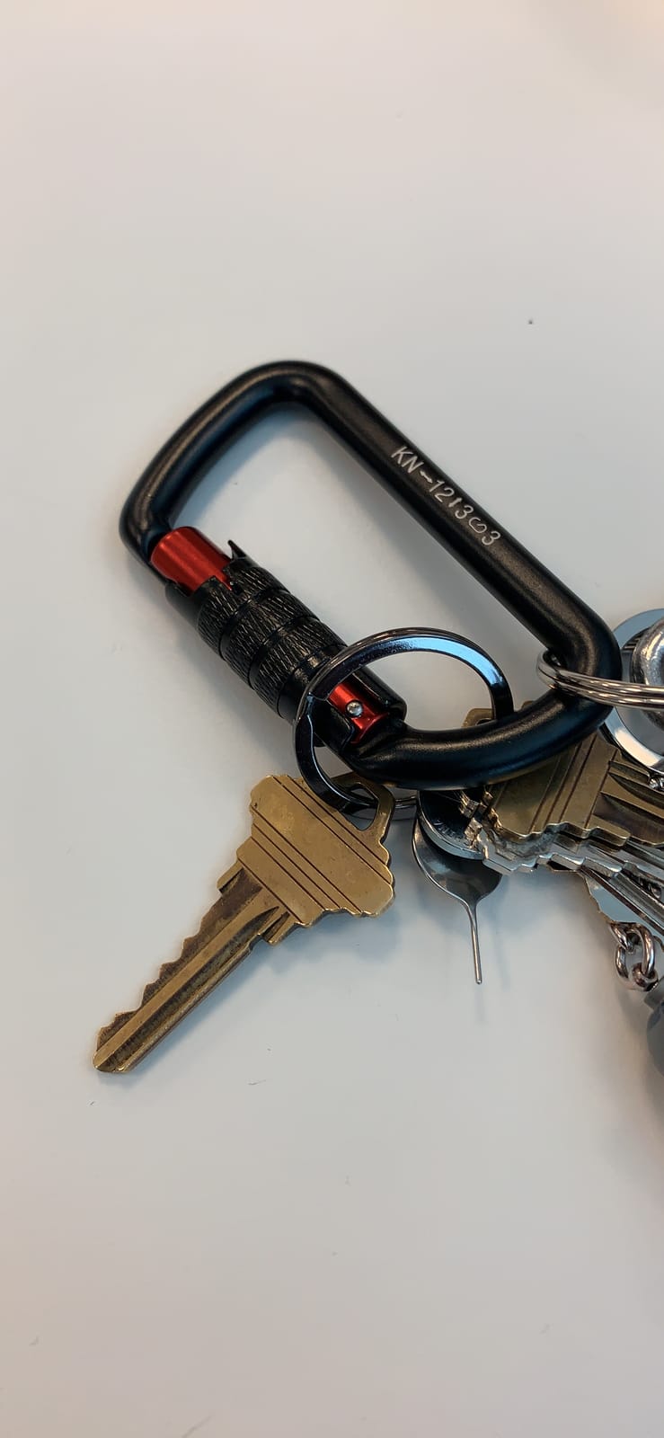 FresKaro 3inch 12kN-2698lbs Auto Locking Carabiner Clips, Solid D Shape, Heavy Duty 7075 Aluminum, Lightweight 1.09oz, Rust Proof, for Hammock, Hiking, Dog Leash, Keychain etc., Multi-Colors customer photo 1