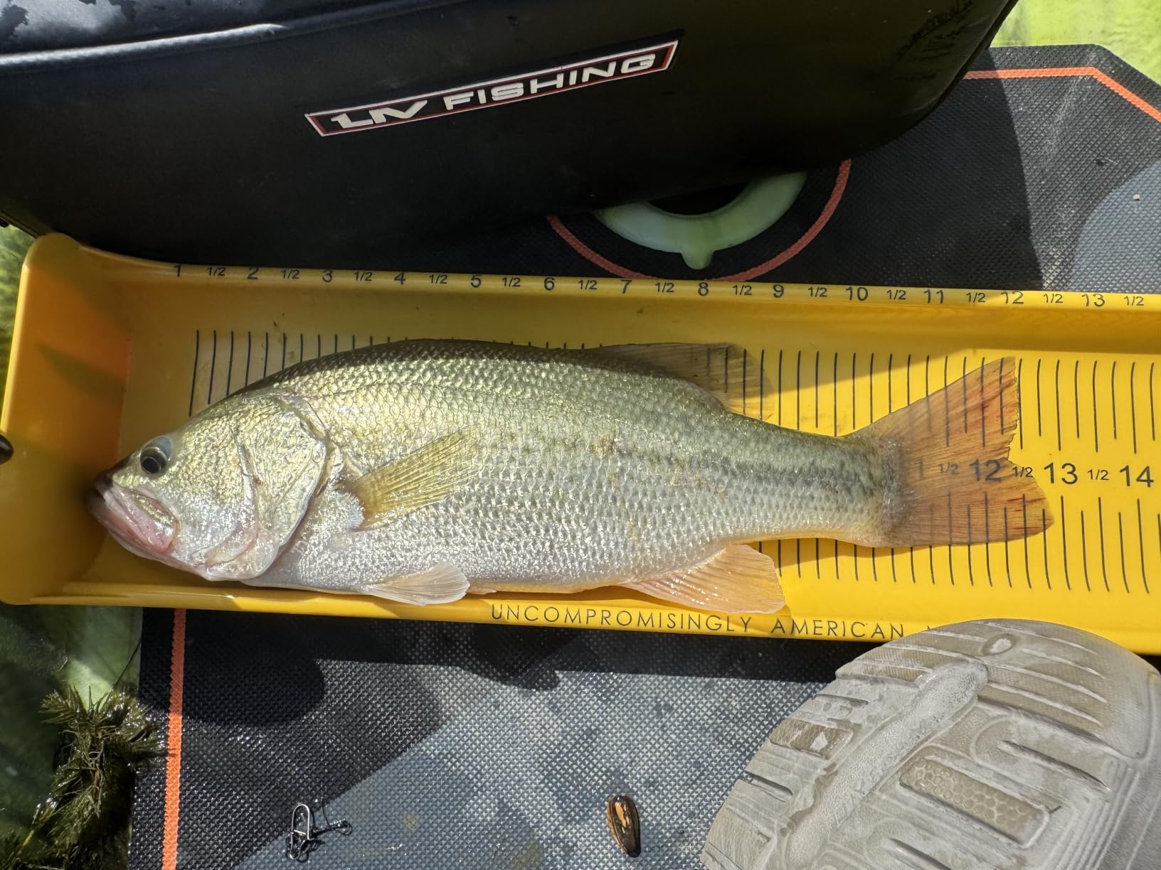 KastKing Brutus Spincast Fishing Reel,Easy to Use Push Button Casting Design,High Speed 4.0:1 Gear Ratio,5 MaxiDur Ball Bearings, Reversible Handle for Left/Right Retrieve, Includes Monofilament Line. customer photo 1