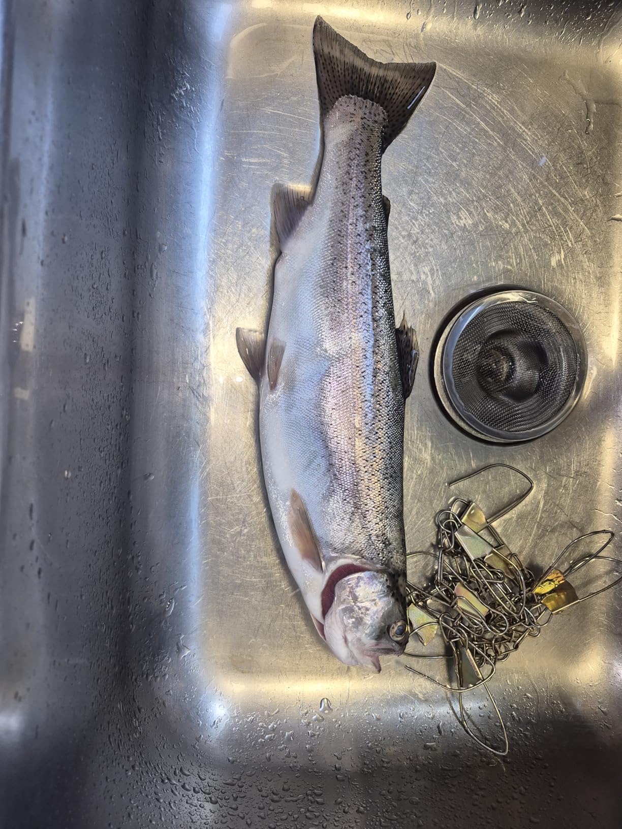 Berkley PowerBait Trout Fishing Dough Bait customer photo 2