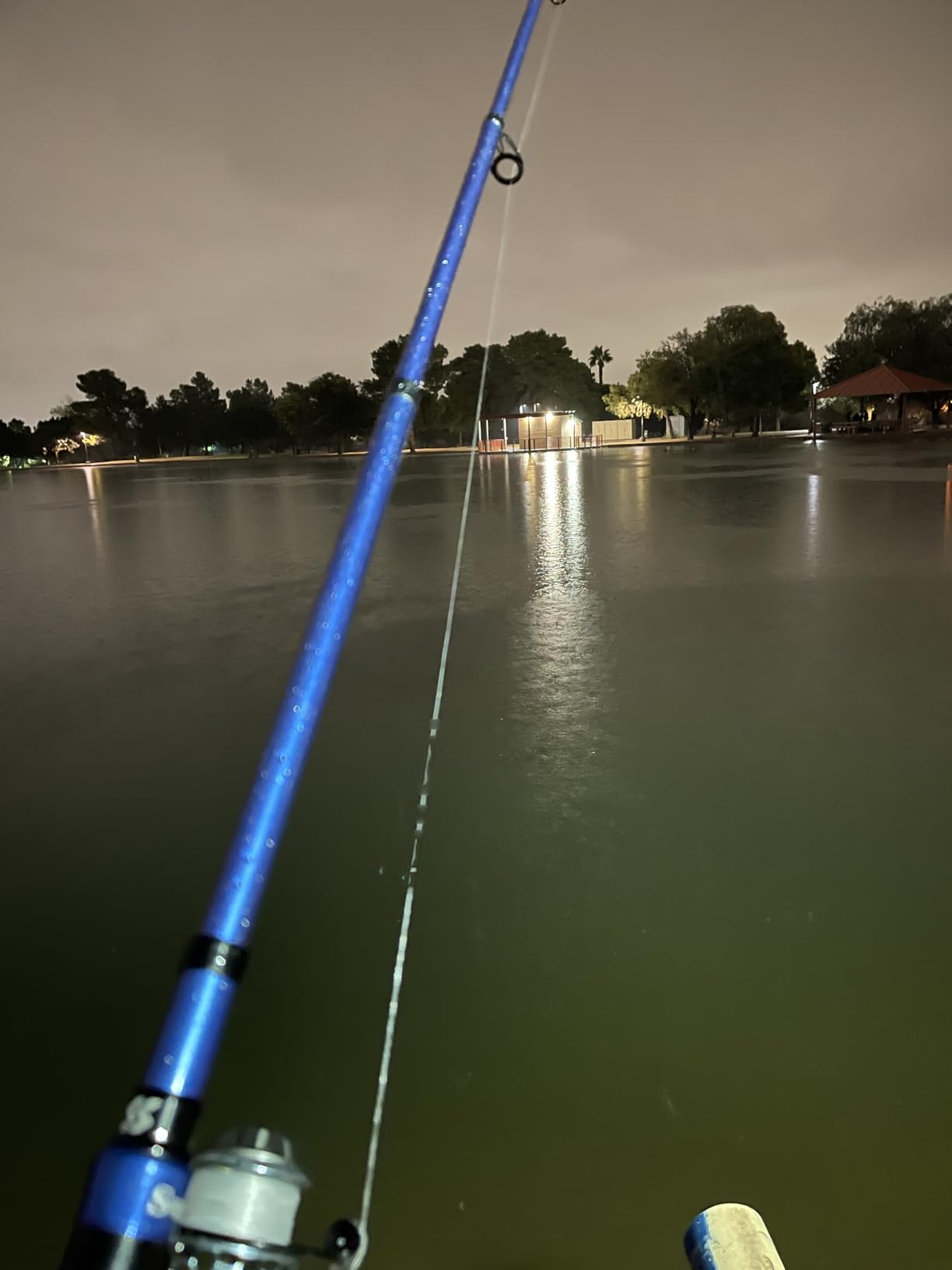 Sougayilang Telescopic Fishing Rod - 24 Ton Carbon Fiber,CNC Machined Reel Seat, Comfortable EVA Handle, Travel Fishing Rod for Bass Trout Fishing customer photo 2