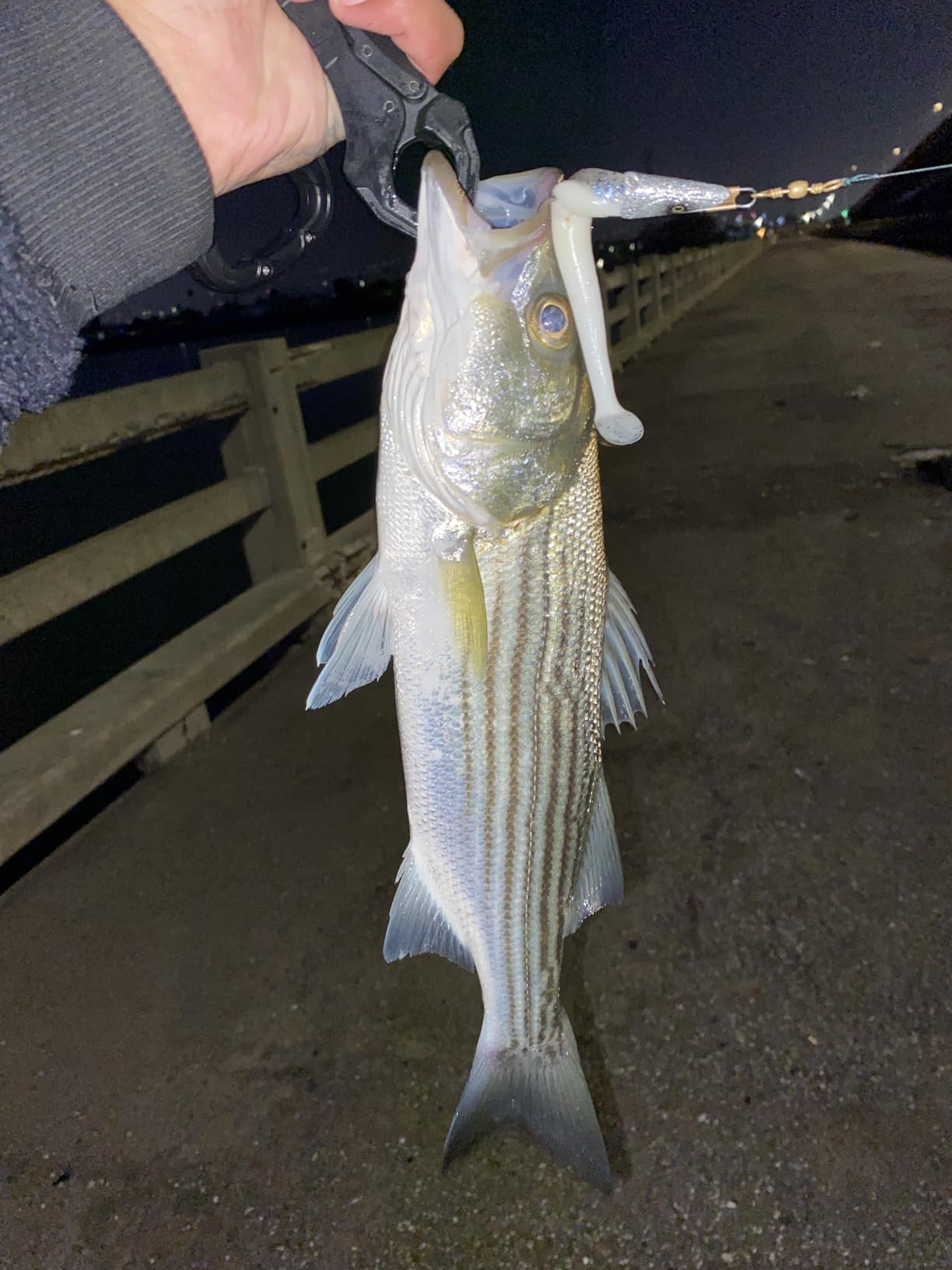 Savage Gear Sandeel customer photo 1
