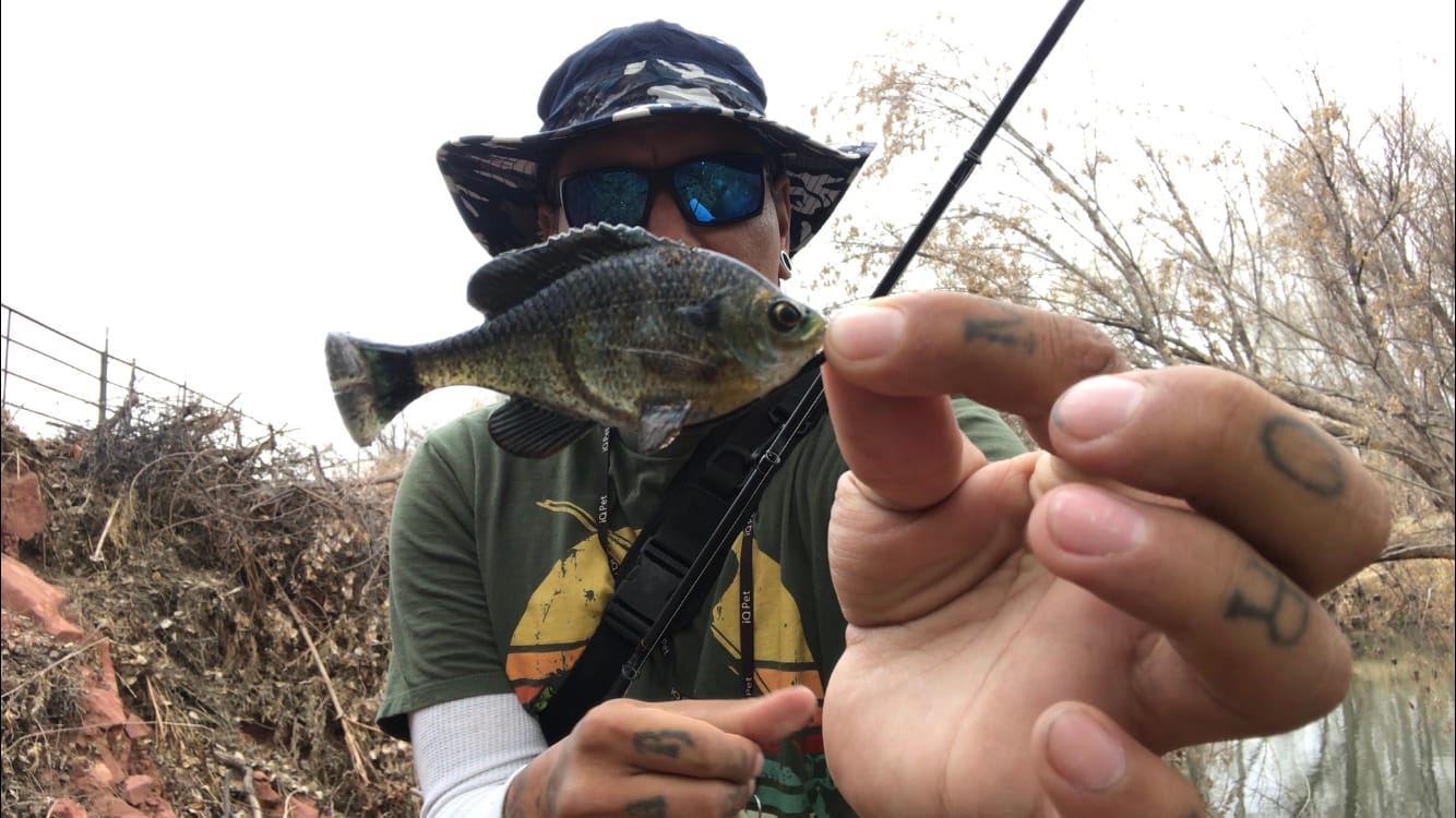 Savage Gear Pulse Tail Fishing Soft Bait customer photo 1