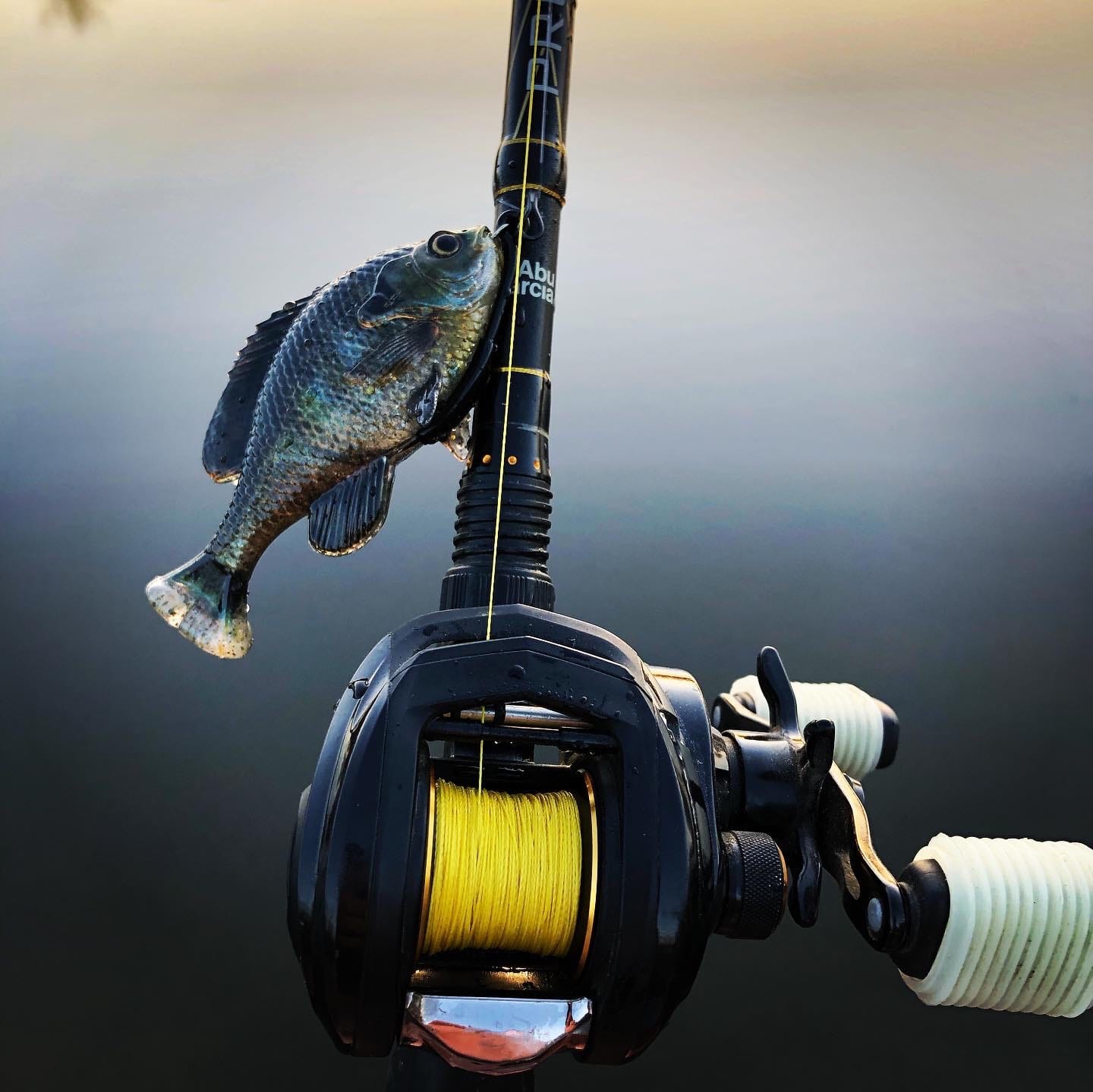 Savage Gear Pulse Tail Fishing Soft Bait customer photo 2