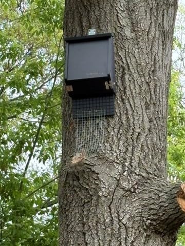 WHITEHORSE 4-Compartment Bat House - Premium Cedar Bat Box (Black) customer photo 2