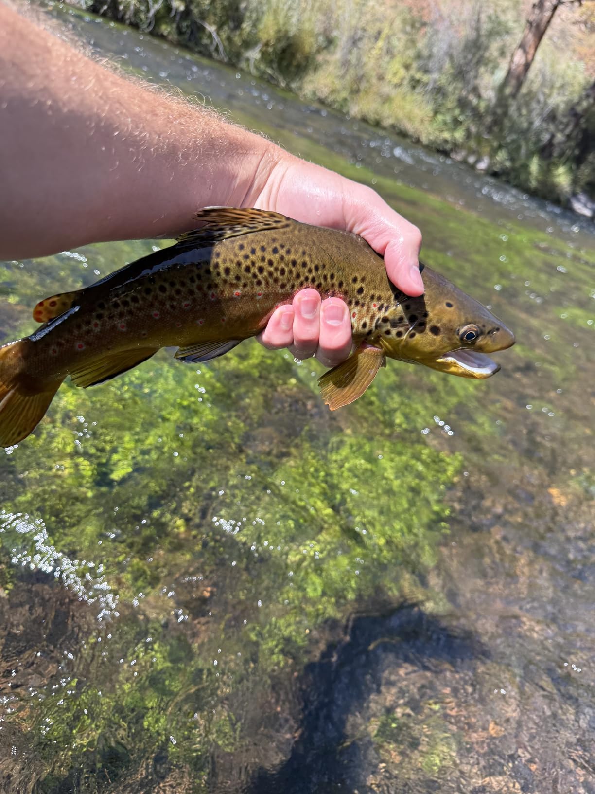 Umpqua Deceiver X Fluorocarbon Tippet customer photo 1