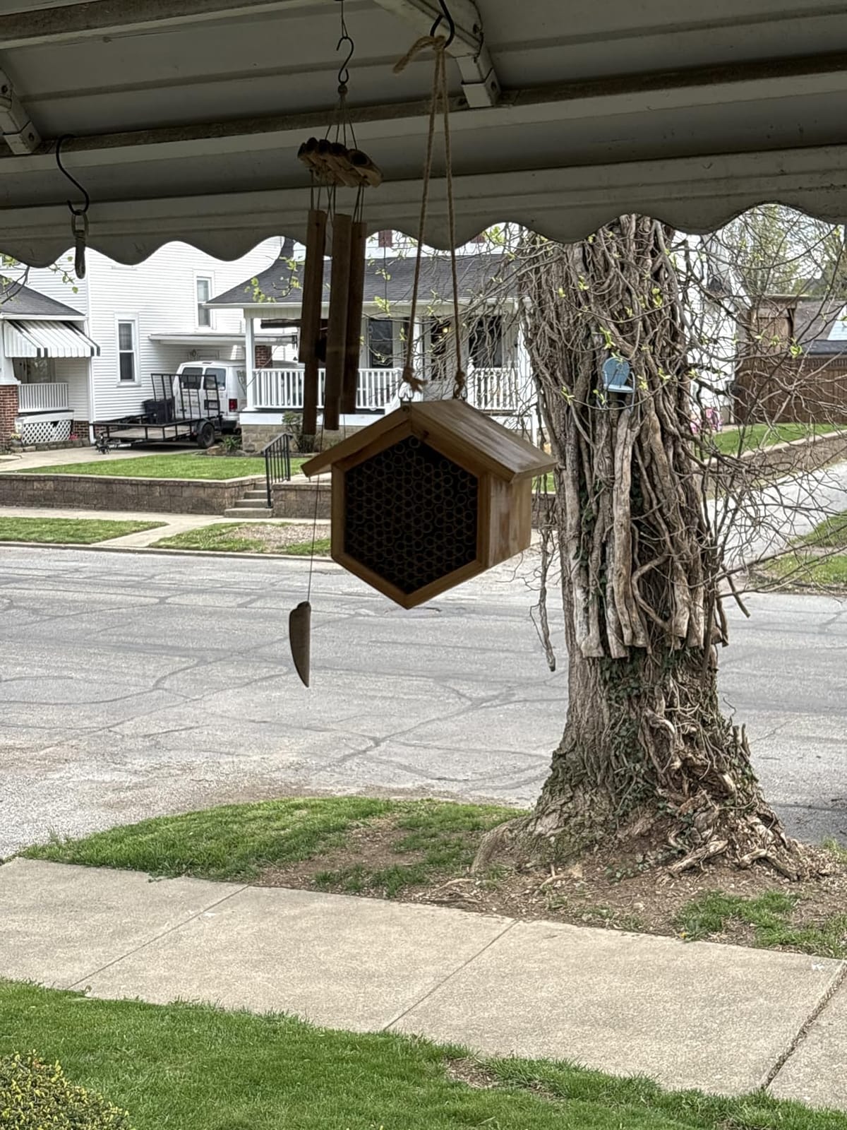 Mason Bee House Wax Coated Bee Hotel, Pollinator House, Natural Handmade Wooden Mason Bee Hotel for Pollinating Bees Garden Supplies customer photo 1