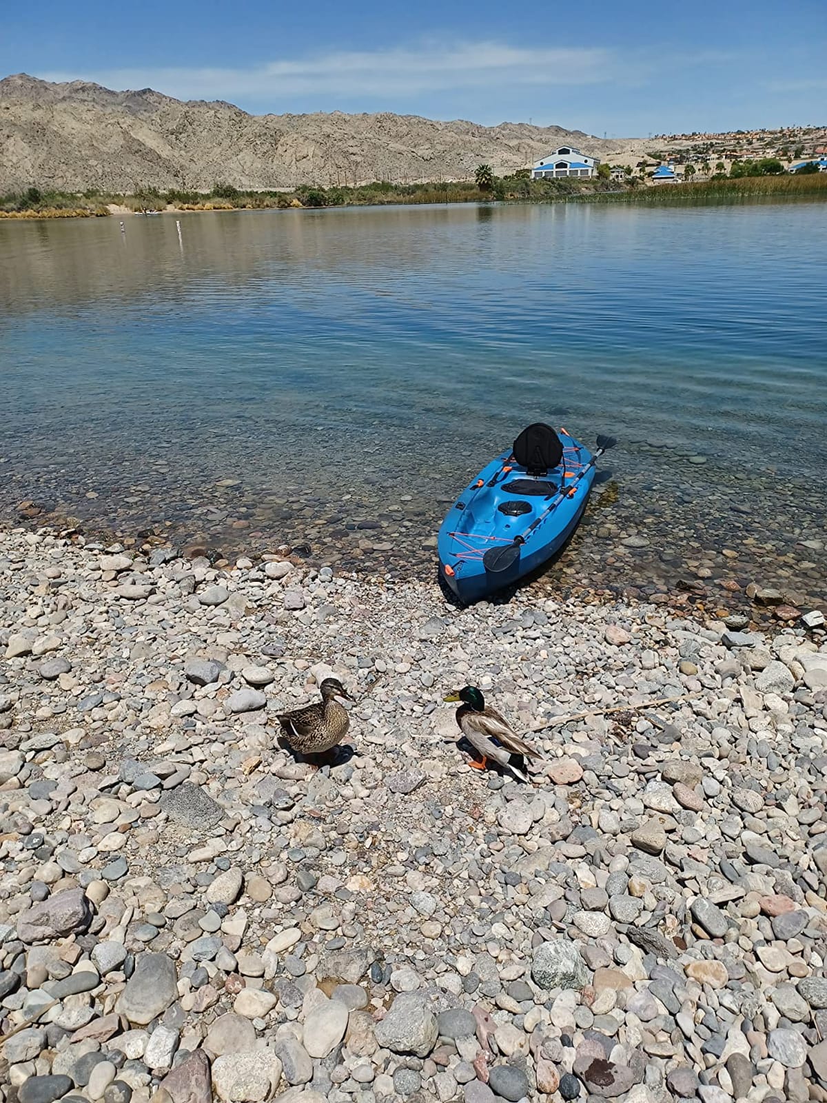 Sea-Lect Designs Hatch Bucket Container for Lifetime Kayaks customer photo 1