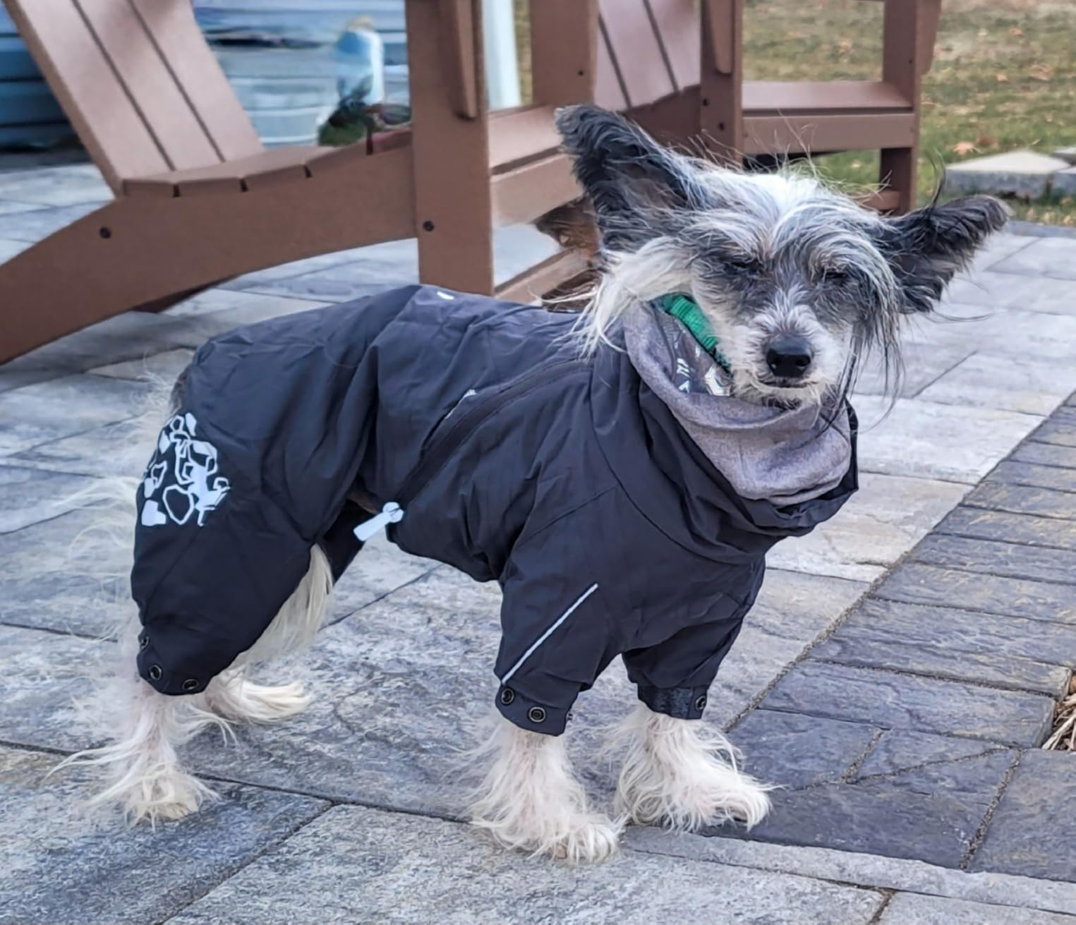 Hurtta Extreme Overall, Dog Snowsuit, BlackBerry, 18M customer photo 1