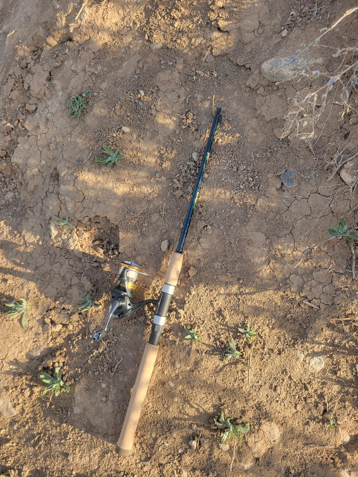 St. Croix Rods Triumph Inshore Spinning Rod, TRIS, Durably Sensitive with Impressive Power, High Performing Spinning Rod customer photo 2