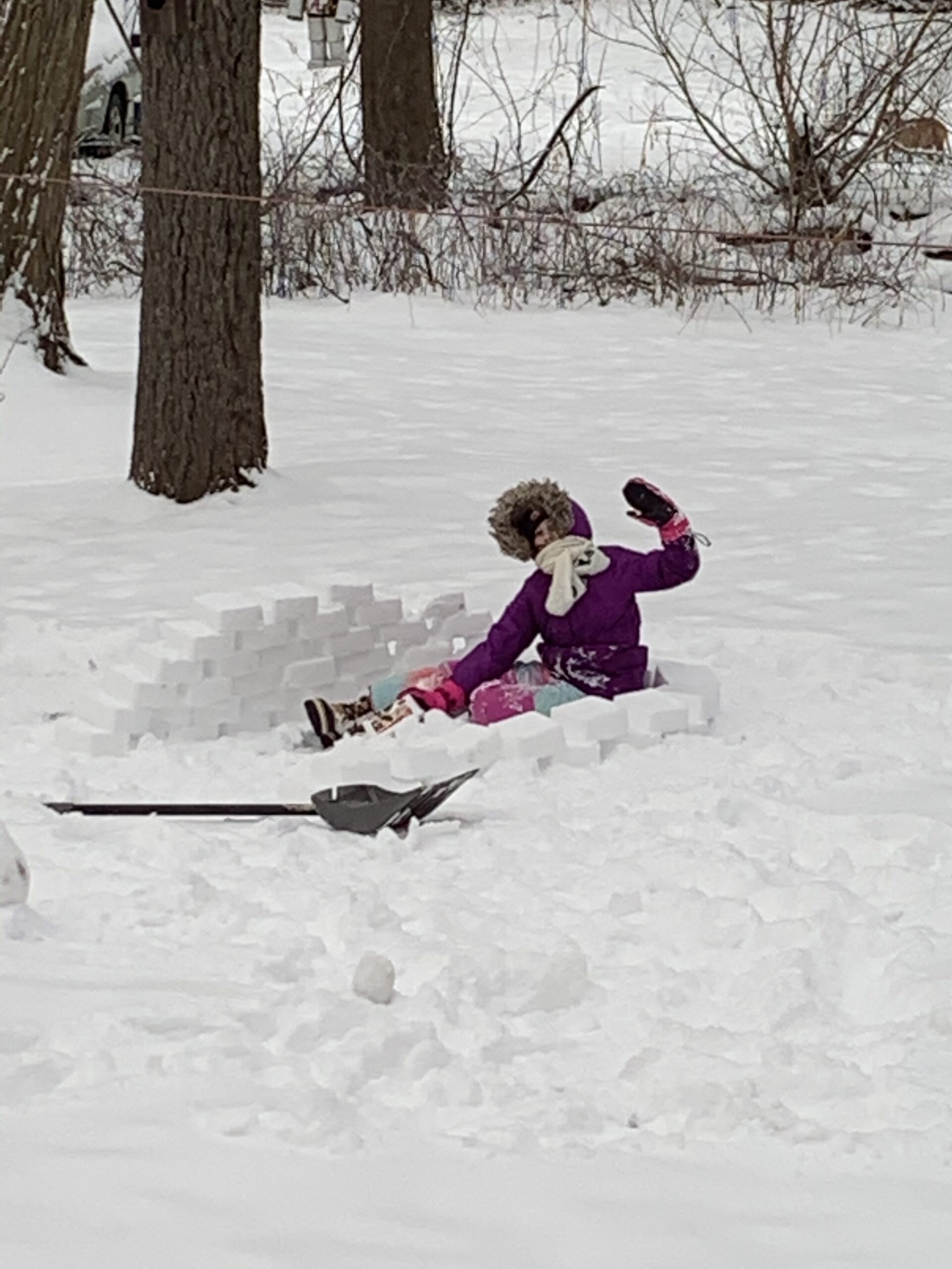 Amazon Essentials Girls and Toddlers' Water-Resistant Ski & Snow Bib Overall customer photo 2