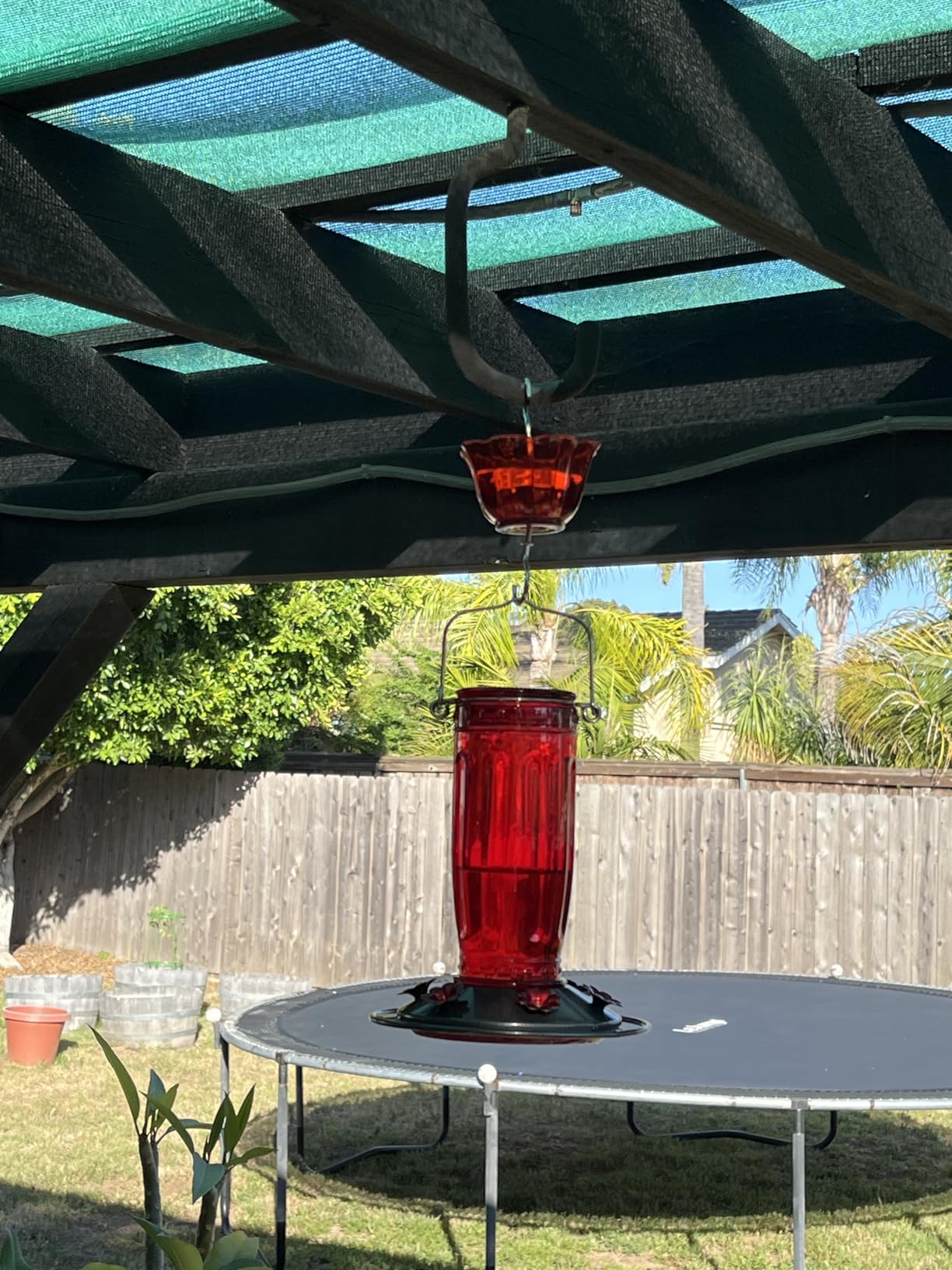 Kingsyard Glass Hummingbird Feeder for Outdoors Wild Bird Feeder with 6 Feeding Ports Hanging for Garden Yard, Red (Ant Moat Included) customer photo 1