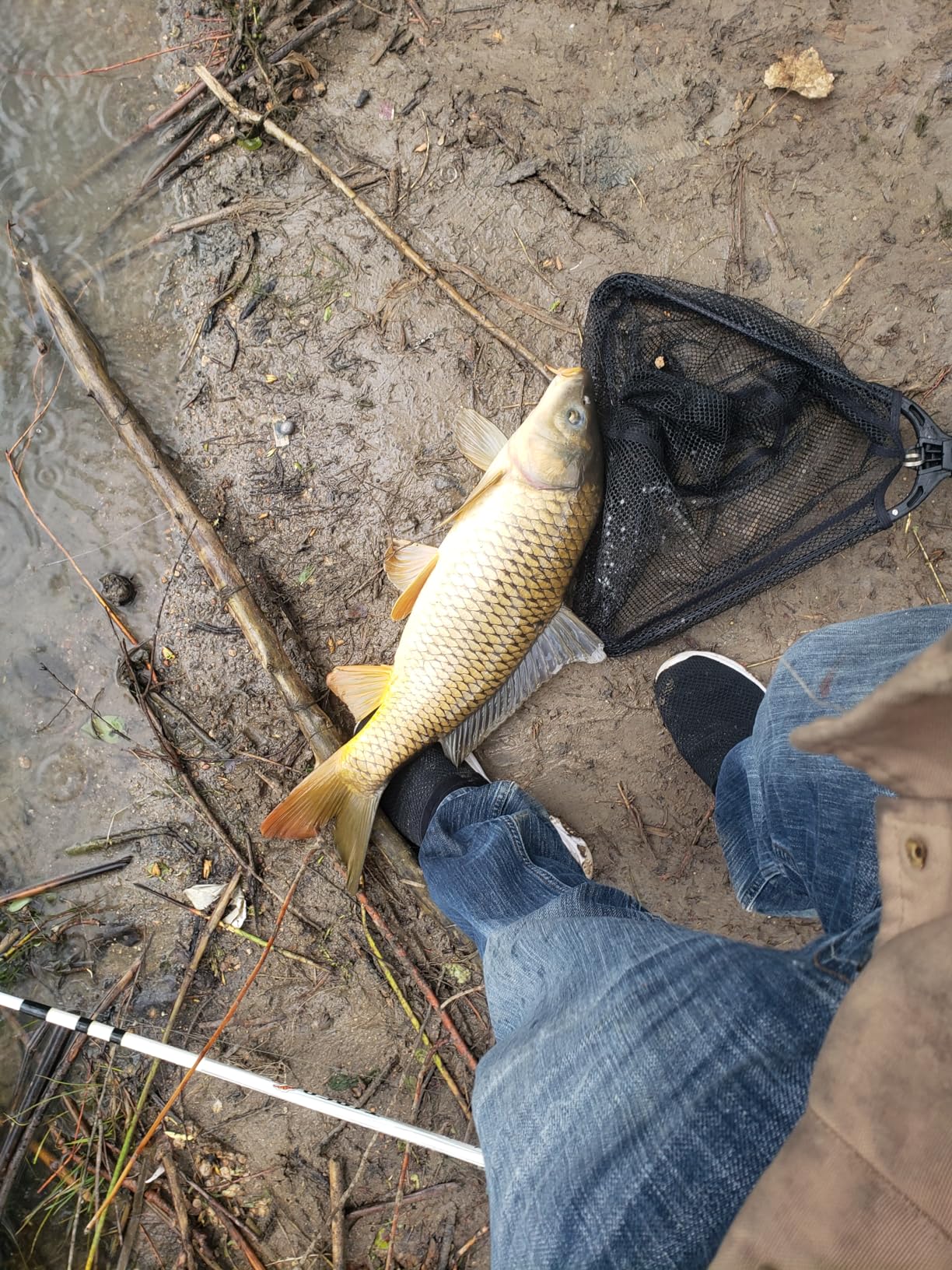 Zebco 888 Spincast Fishing Reel, Size 80 Reel customer photo 1