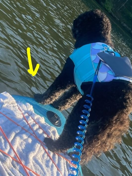 Coiled SUP Leash 10' Surfboard Leash Sup Leg Rope Strap Stand Up Paddleboard Leash customer photo 1