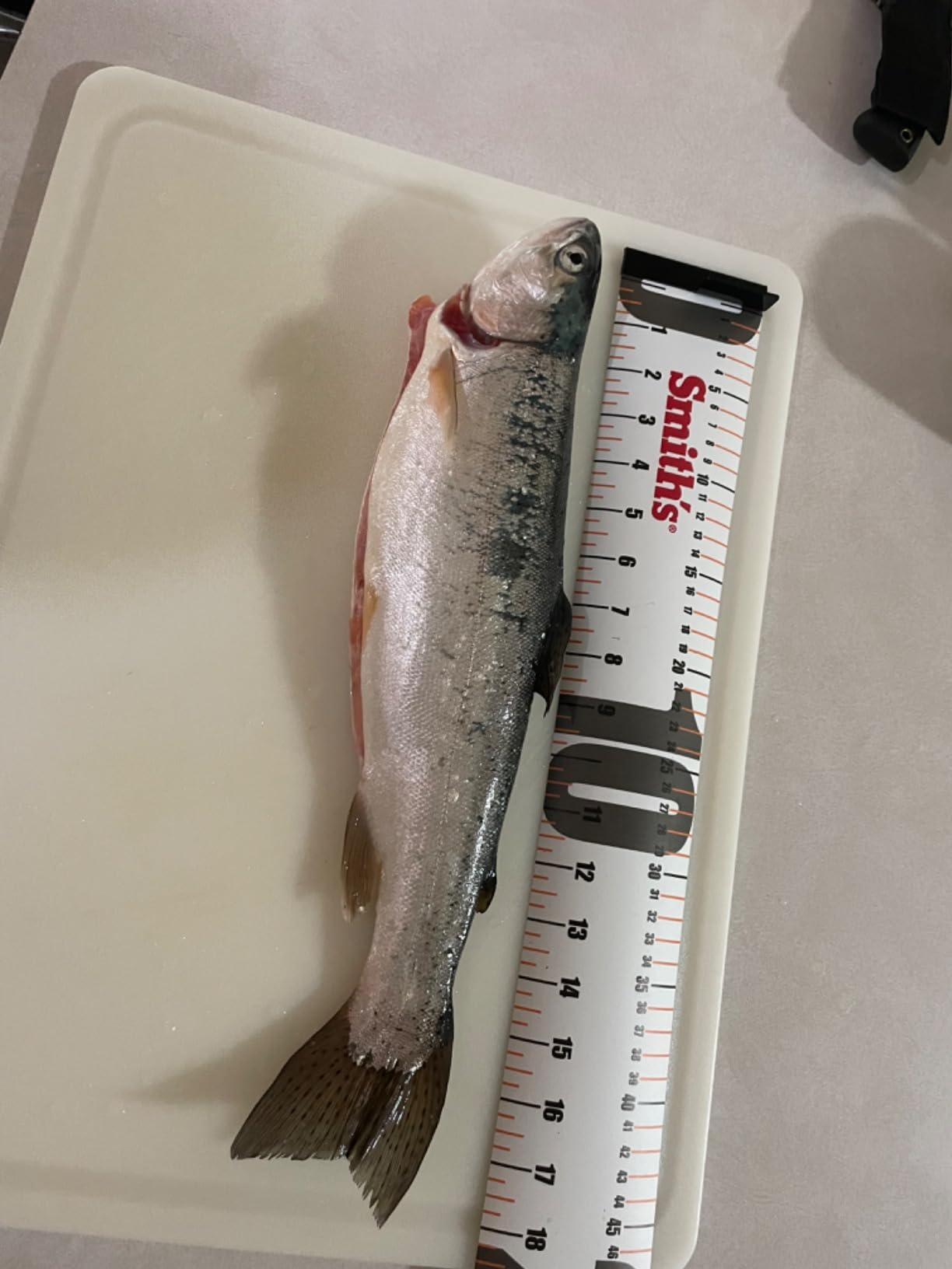 Smith's Regal River 48