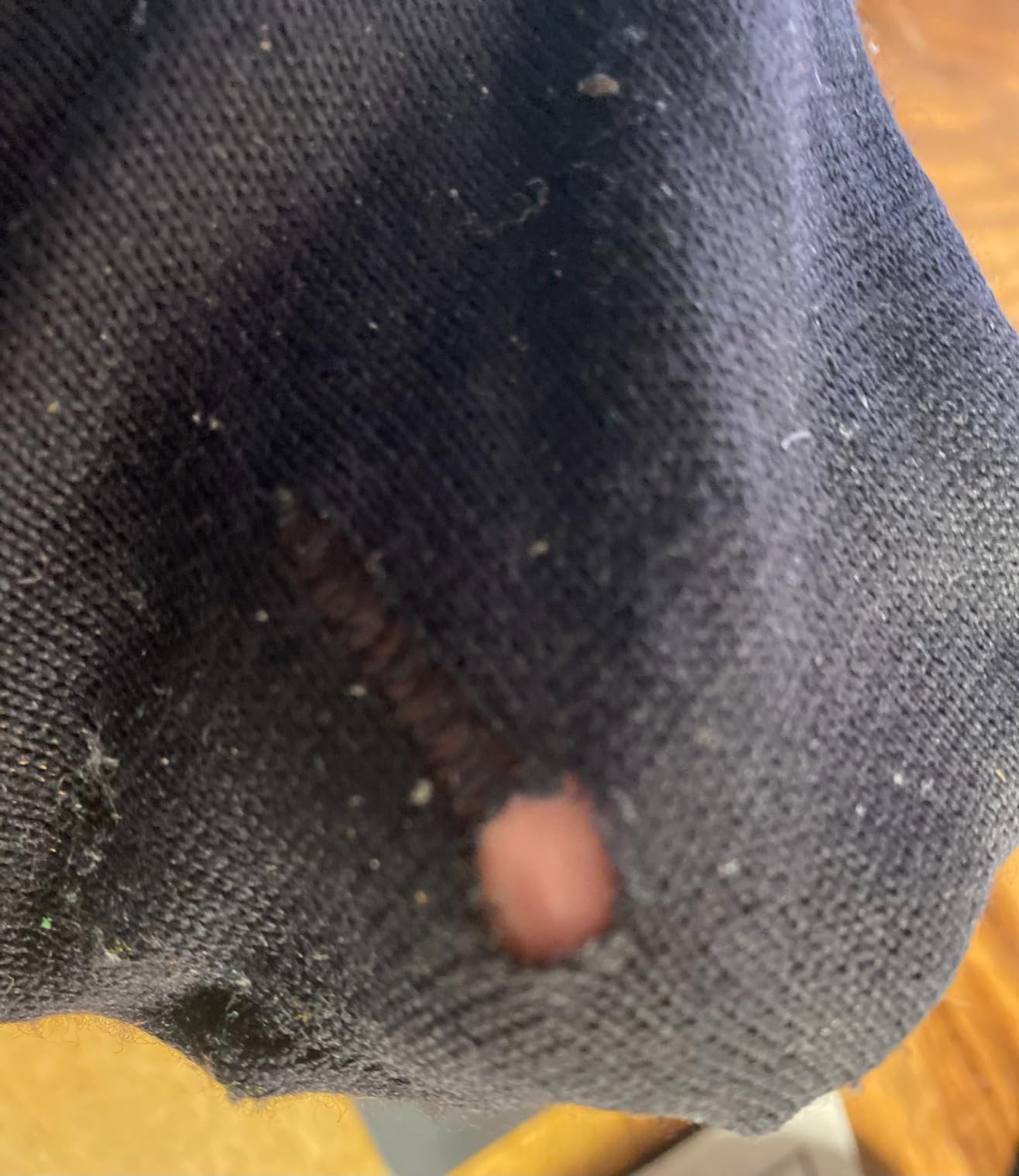 Smartwool Unisex Hike Classic Edition Zero Cushion Liner Crew Socks customer photo 2