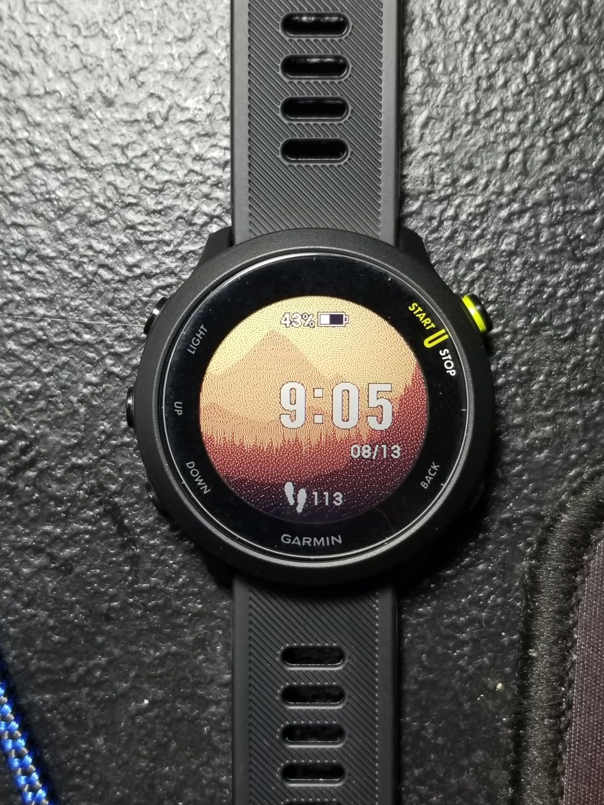 Garmin Forerunner 55, GPS Running Watch with Daily Suggested Workouts, Up to 2 Weeks of Battery Life, Black - 010-02562-00 customer photo 2
