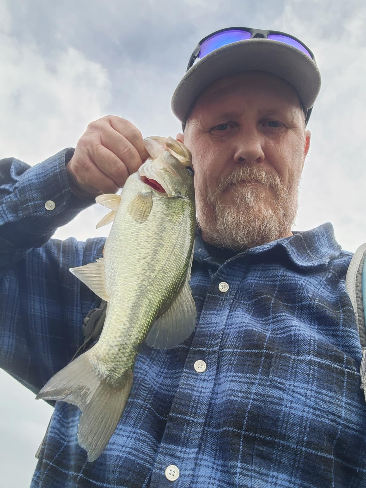 Berkley Powerbait Gilly Fishing Soft Bait customer photo 1