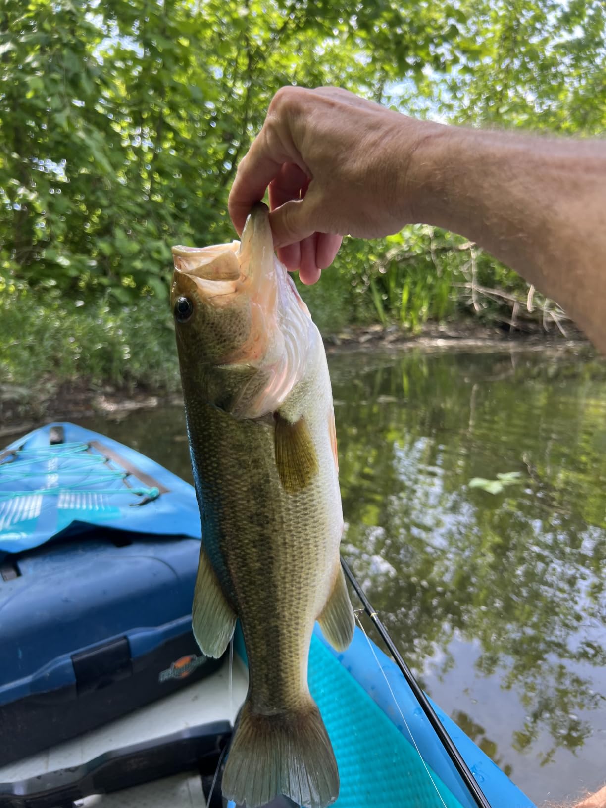 TRUSCEND Swimmax Easy Catch Fishing Lures with BKK Hooks, Wiggling, Vibrating, Rattling and Gurgling for More Bites, Heavy-Duty Dyneema Fiber Jointed Swimbaits for Bass, Trout, Crappie, Walleye, Pike customer photo 2