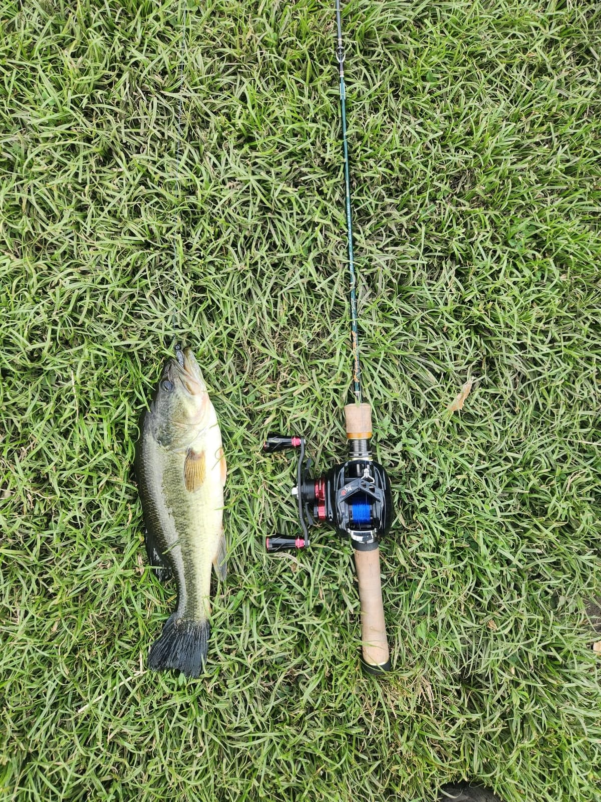 Bobby Garland Itty Bit Slab Huntr Natural Minnow Shape Ribbed Fishing Lure, 1 Inch customer photo 1