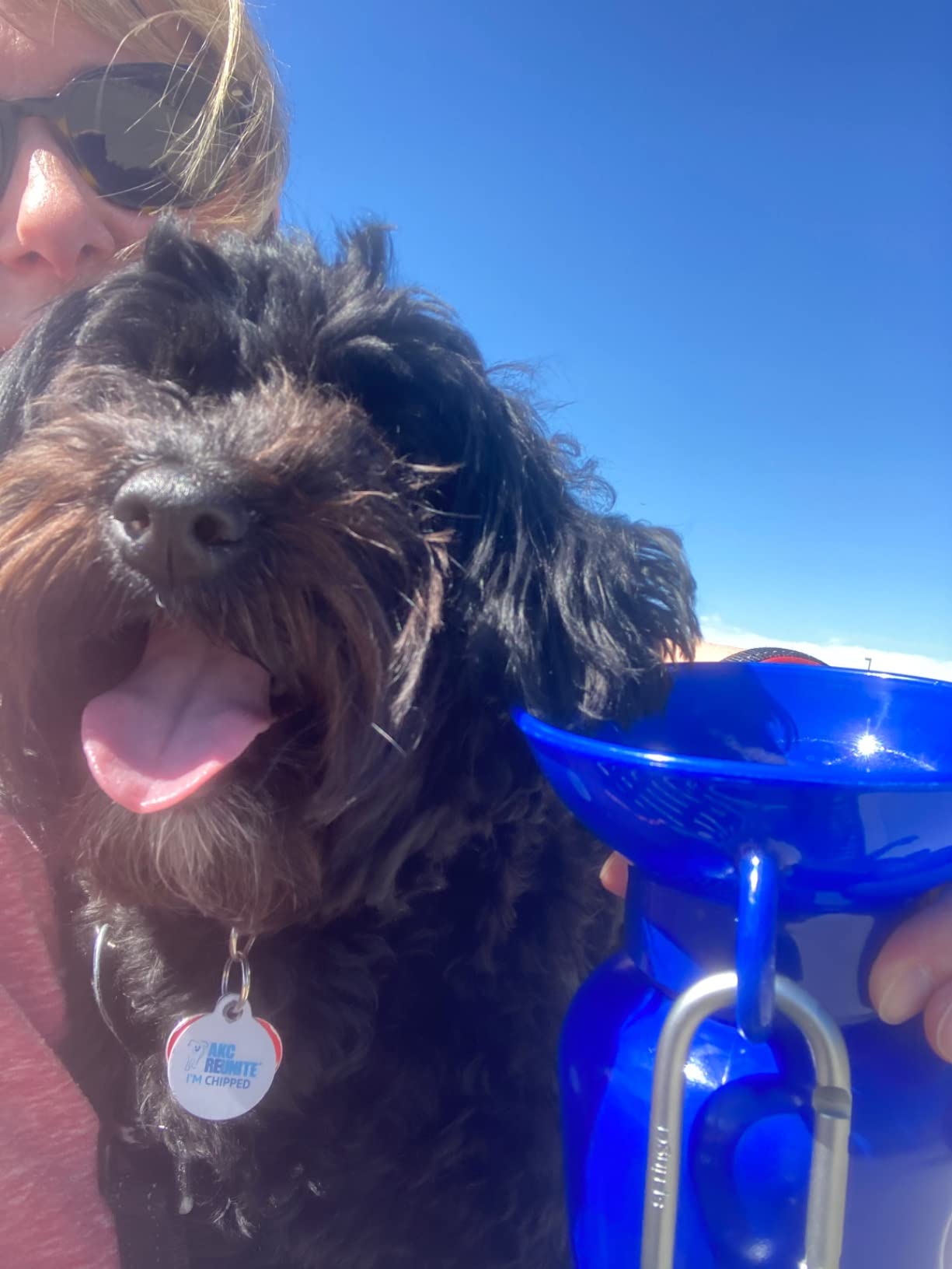 Springer Dog Water Bottle | Portable Travel Drinking Feeder Dispenser for Dogs & Puppies | As Seen on Shark Tank | Leak-Proof Bowl | BPA-Free | Outdoor Walking, Hiking & Travel | 22oz Blue customer photo 1