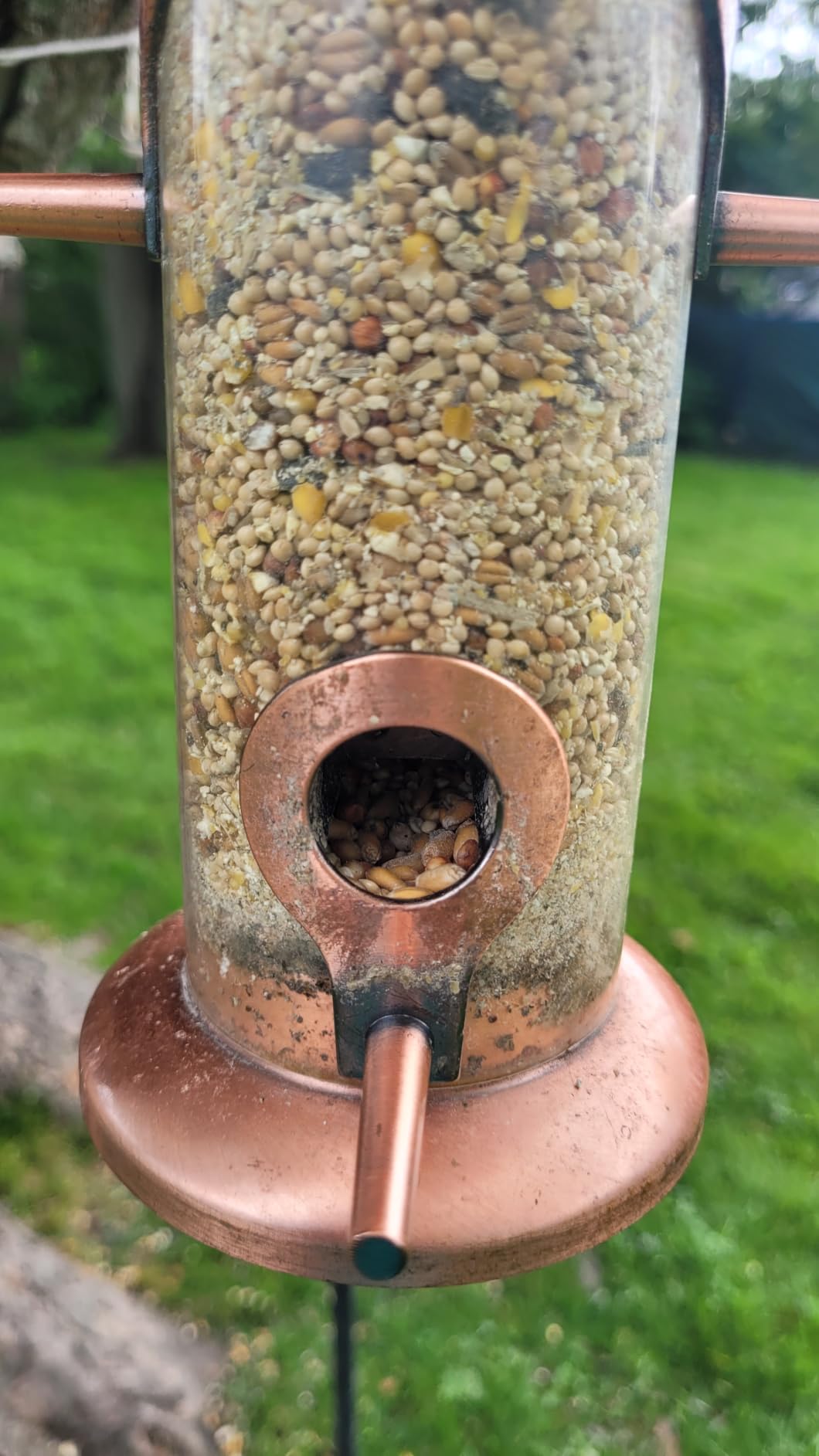 iBorn Bird Feeders for Outdoors 15