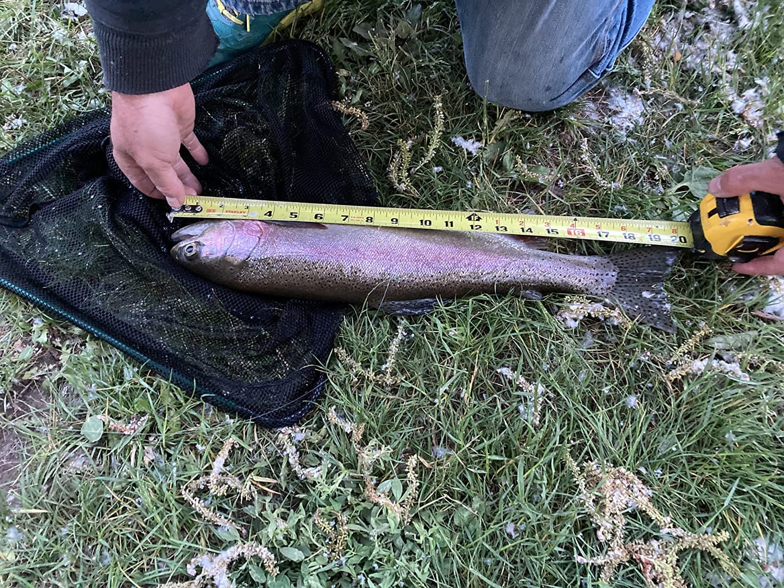 RoxStar Fly Shop Trophy Trout Top Wet & Dry Flies for Trout. Proven Nationwide to Catch Fish! Tied in-House Never Outsourced Fly Fishing Gift customer photo 2