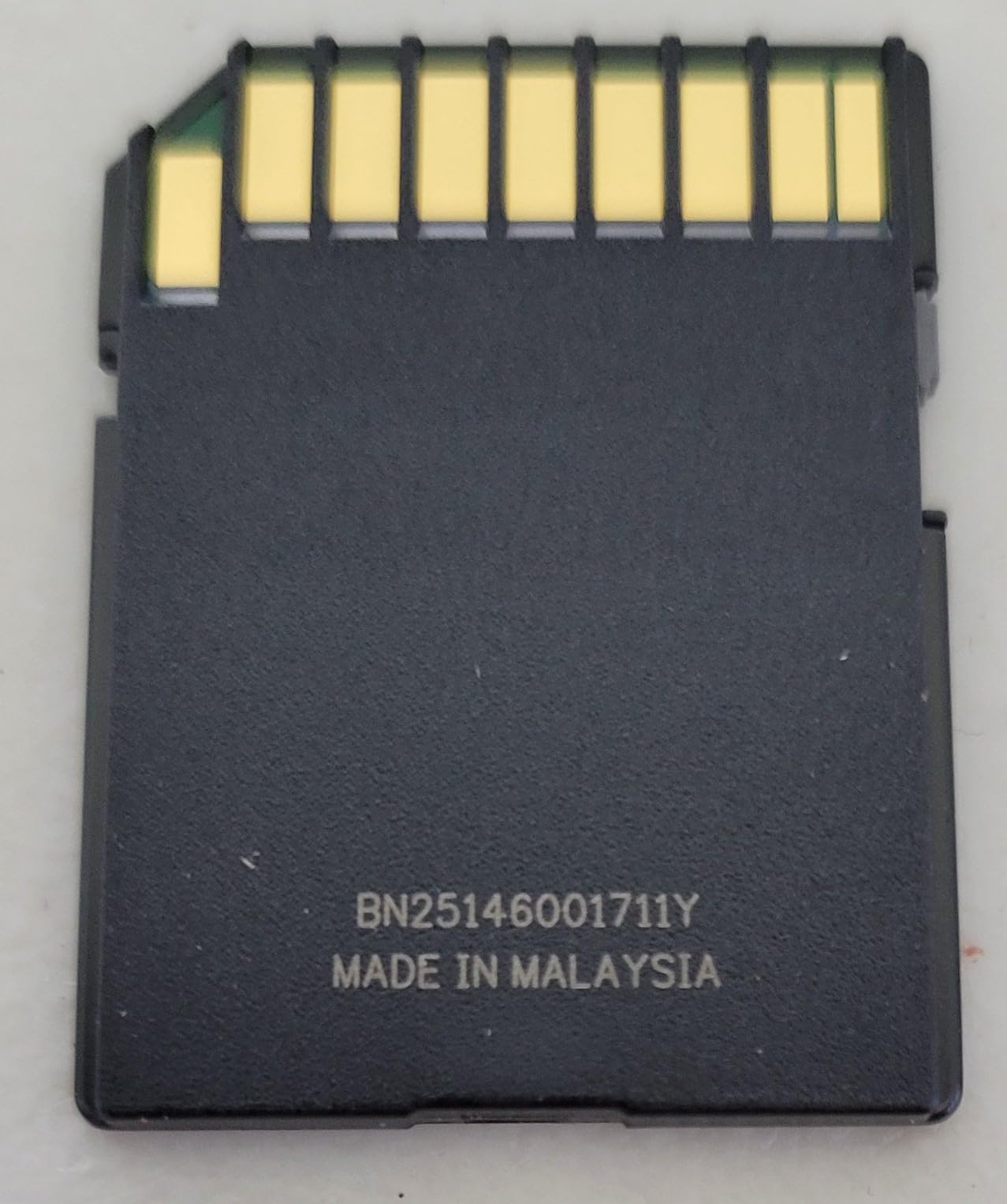 SanDisk 64GB Extreme SDXC UHS-I Memory Card - C10, U3, V30, 4K, UHD, SD Card - SDSDXV2-064G-GNCIN customer photo 2