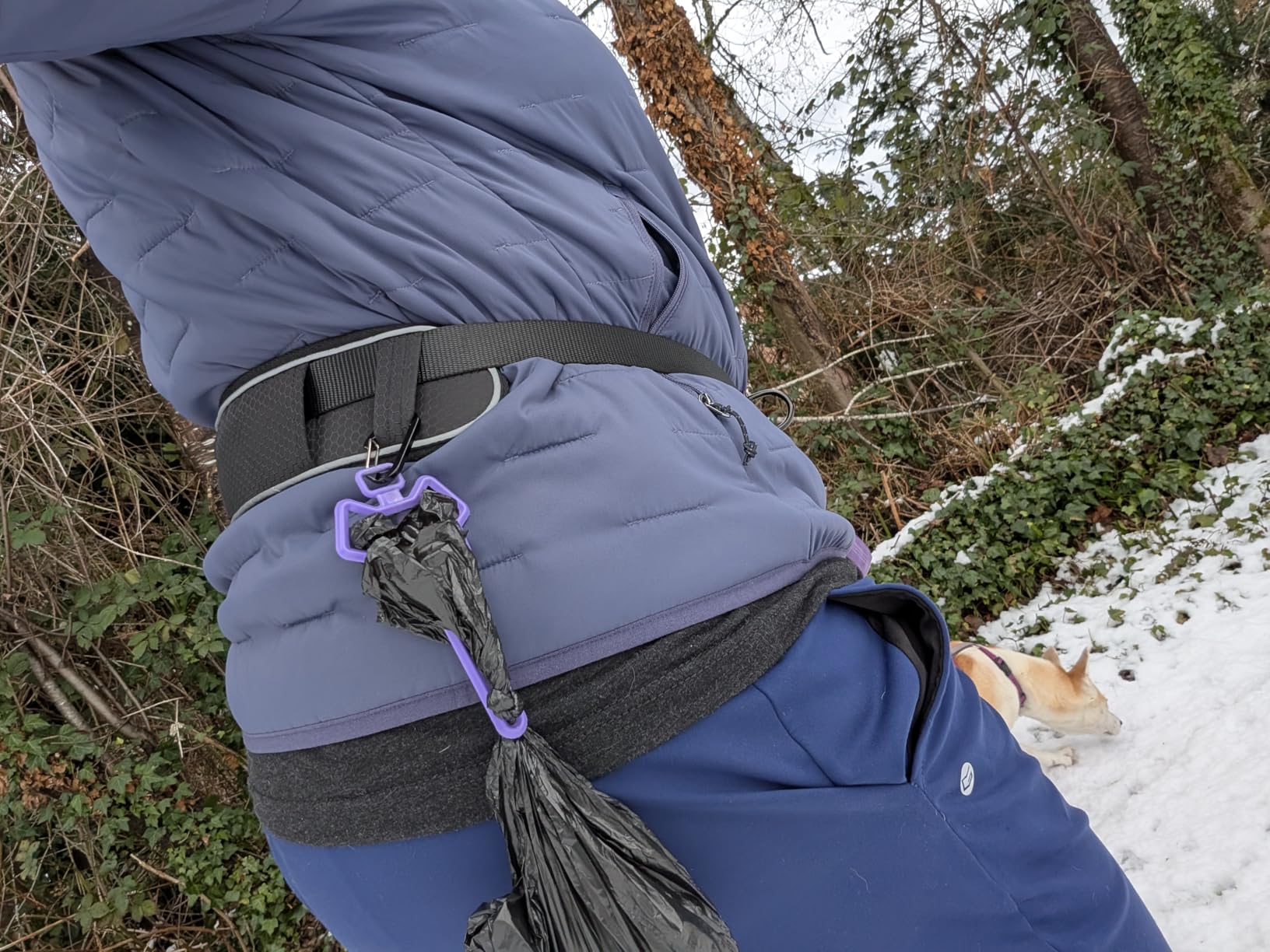 Tuff Pupper Hands Free Bungee Dog Leash, Waist Belt for Running & Walking | Heavy Duty for One Large Dog up to 125 lb, Shock Absorbing with Lumbar Support & Reflective Padded Handles for Jogging customer photo 2