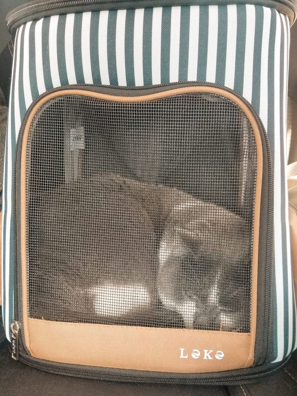 Lekereise Pet Carrier Backpack Expandable Cat Backpack Carrier for Small Dogs Large Cats Puppies, Dog Backpack Carrier for Hiking Travel Outdoor Hold Pets Up to 20 25 Lbs, Grey customer photo 2