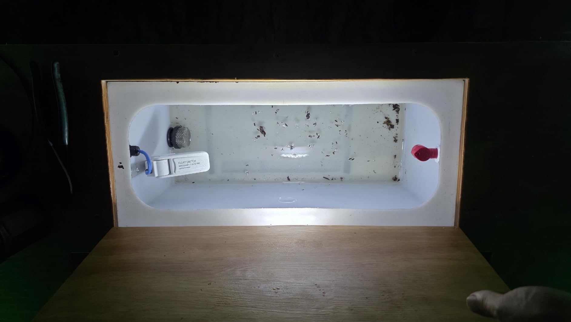 Bilge Float Switch, Huazu Automatic Bilge Pump Float Switch Rule Float Switch DC 12V 24V 32V for Boats Ignition Protected Mercury Free White customer photo 1