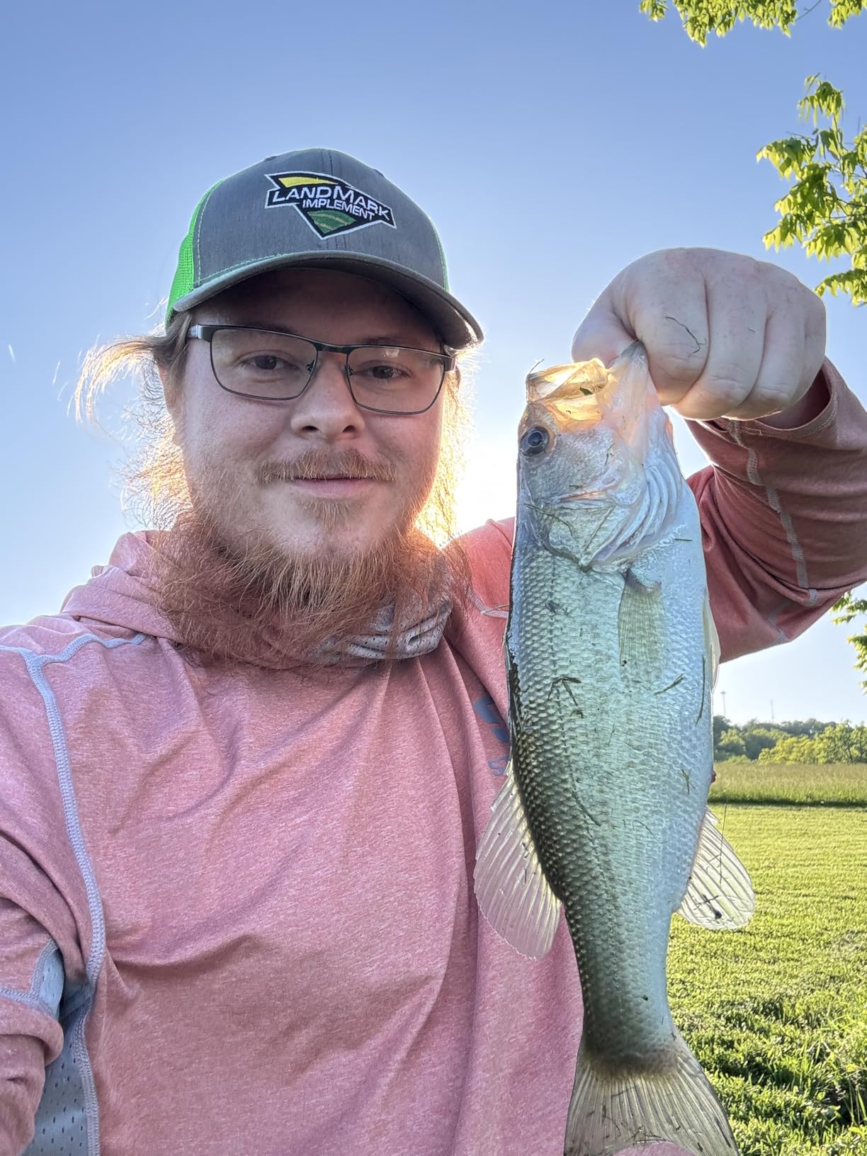Offset Worm Hooks for Bass Fishing Rubber Worms EWG Wide Gap Bass Hooks Freshwater Texas Rig Soft Plastics Worms Bait Fishing Hook Black Red Colored 1/0 2/0 3/0 4/0 customer photo 2
