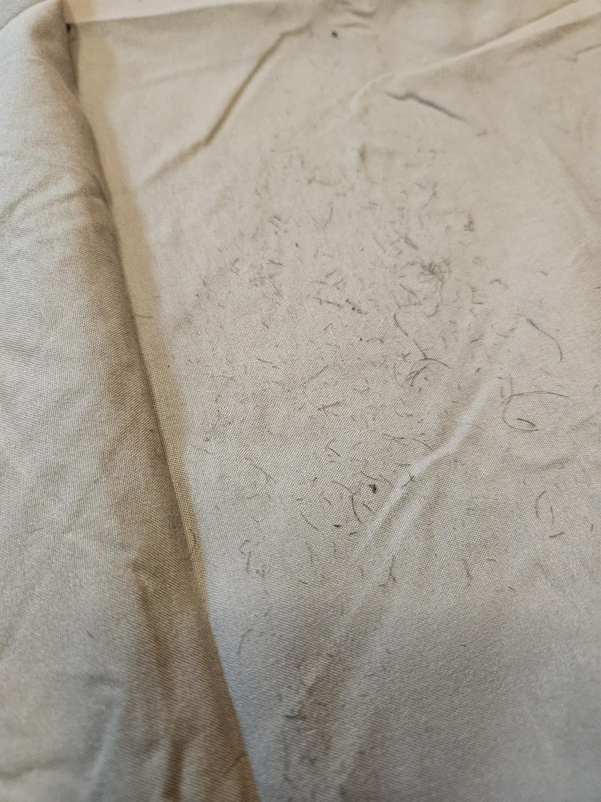 Cot Sheets 31