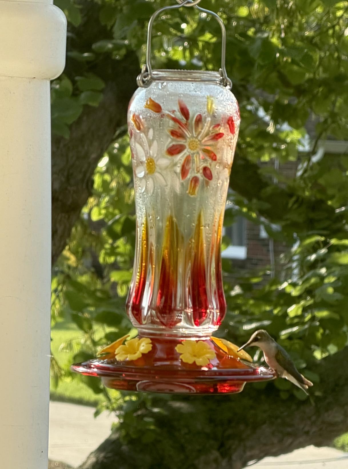 Kingsyard Glass Hummingbird Feeders for Outdoors Hanging | Leak-Proof Base, Ant Moat & 6 Bee-Proof Ports, Circular Perch with 360 Feeding, 25 oz Nectar Capacity, Garden Decor, Red customer photo 1