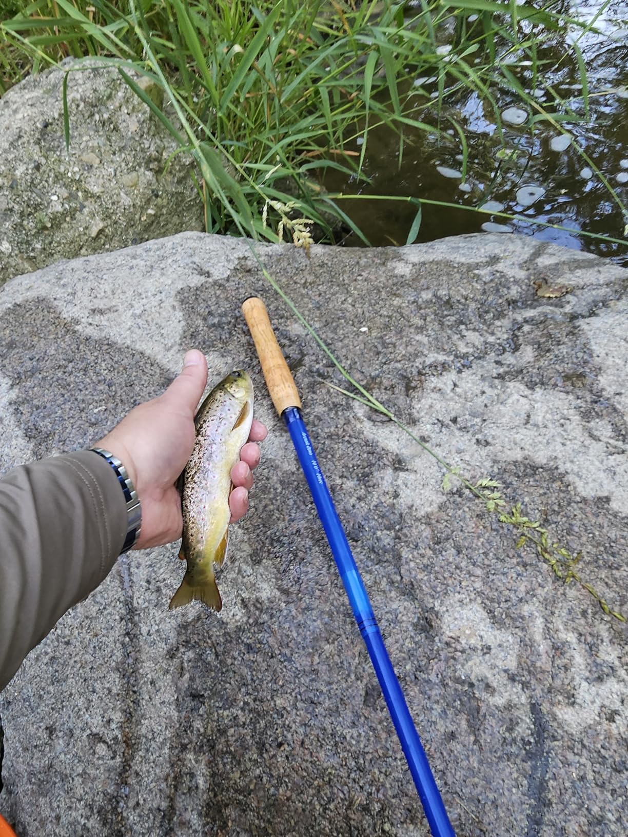 Aventik Zeno Tenkara Rod in 9ft/10ft, Complete Beginner Tenkara Rod Kit, S2 Fiberglass 6:4 Soft M-Action Super Lightweight and Compact Tenkara Fly Fishing Rod customer photo 1