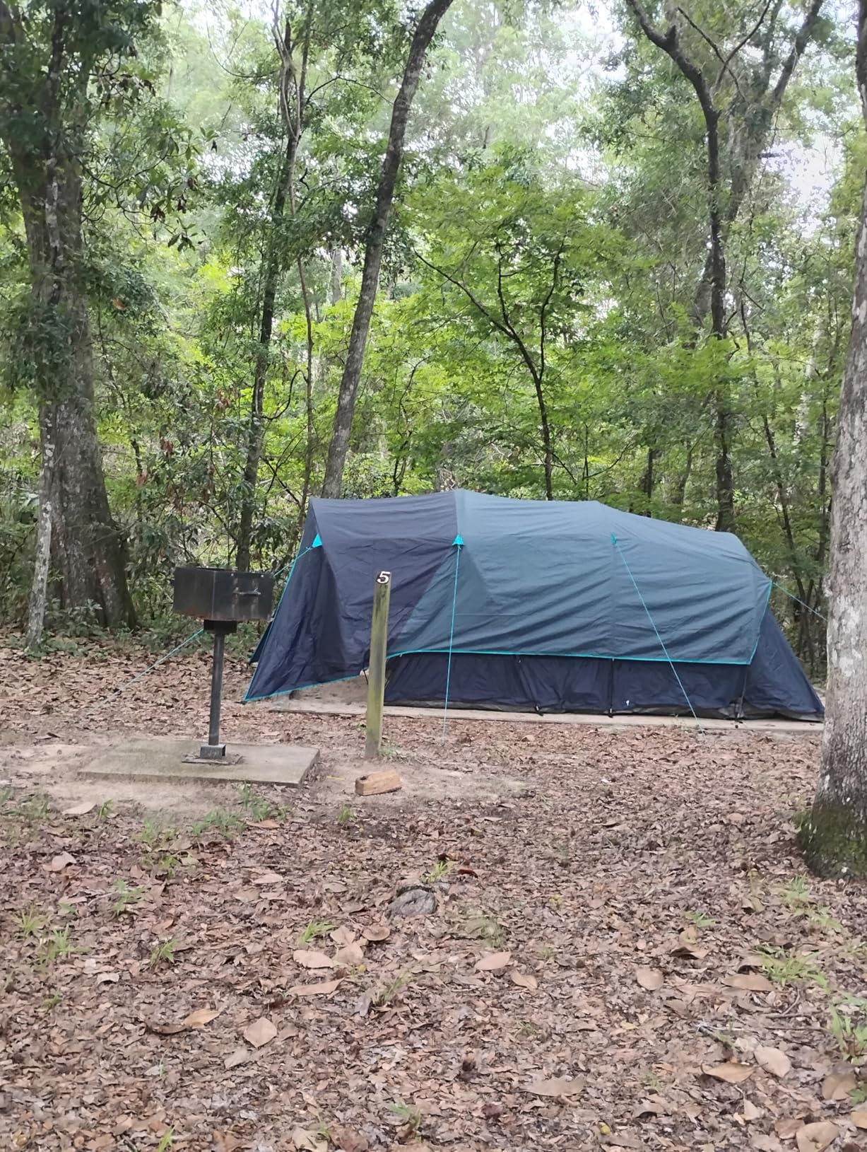 Timber Ridge 8 Person Camping Tent with Large Porch, Portable Waterproof Windproof Family Tent with Rainfly Carry Bag Room Divider, Easy Set-up Tent with Excellent Ventilation for Camping, 3 Season customer photo 1
