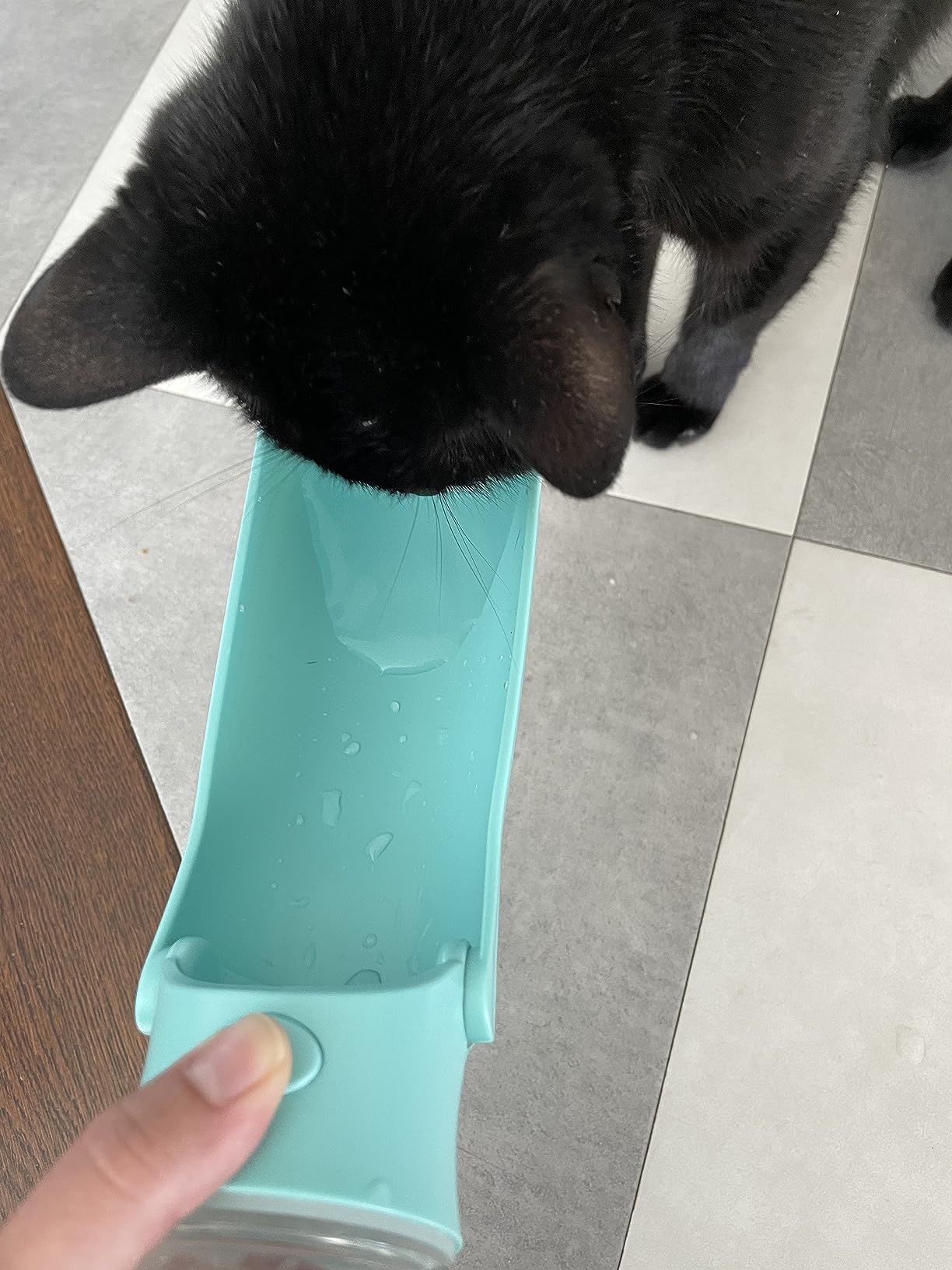 Portable Dog Water Bottle Dispenser [Leak Proof & Foldable] Dog Travel Water Bottle Bowl Accessories for Puppy Small Medium Large Dogs Pet Water Bottles for Dogs Walking Outdoor Hiking 19OZ customer photo 1