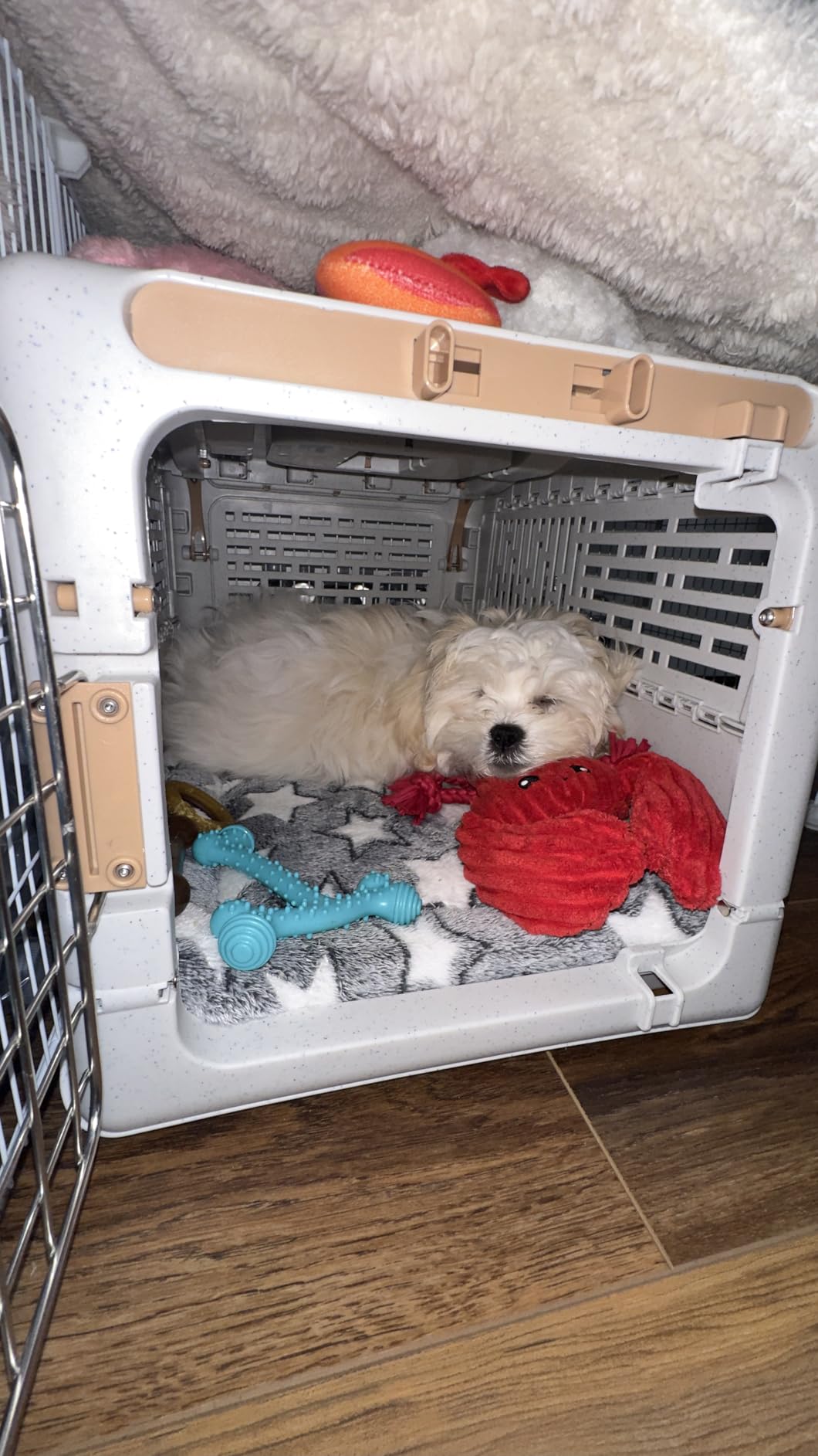 Sport PET Plastic Kennels Rolling Plastic Wire Door Travel Dog Crate, Collabsible Kennel, 22.1