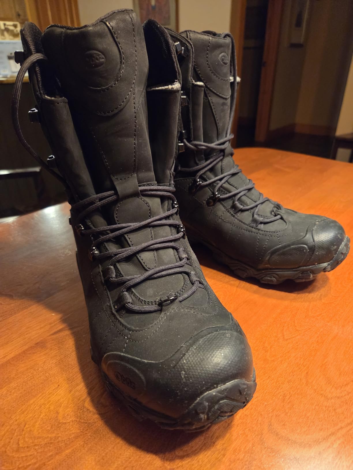 Oboz Men's Bridger 10
