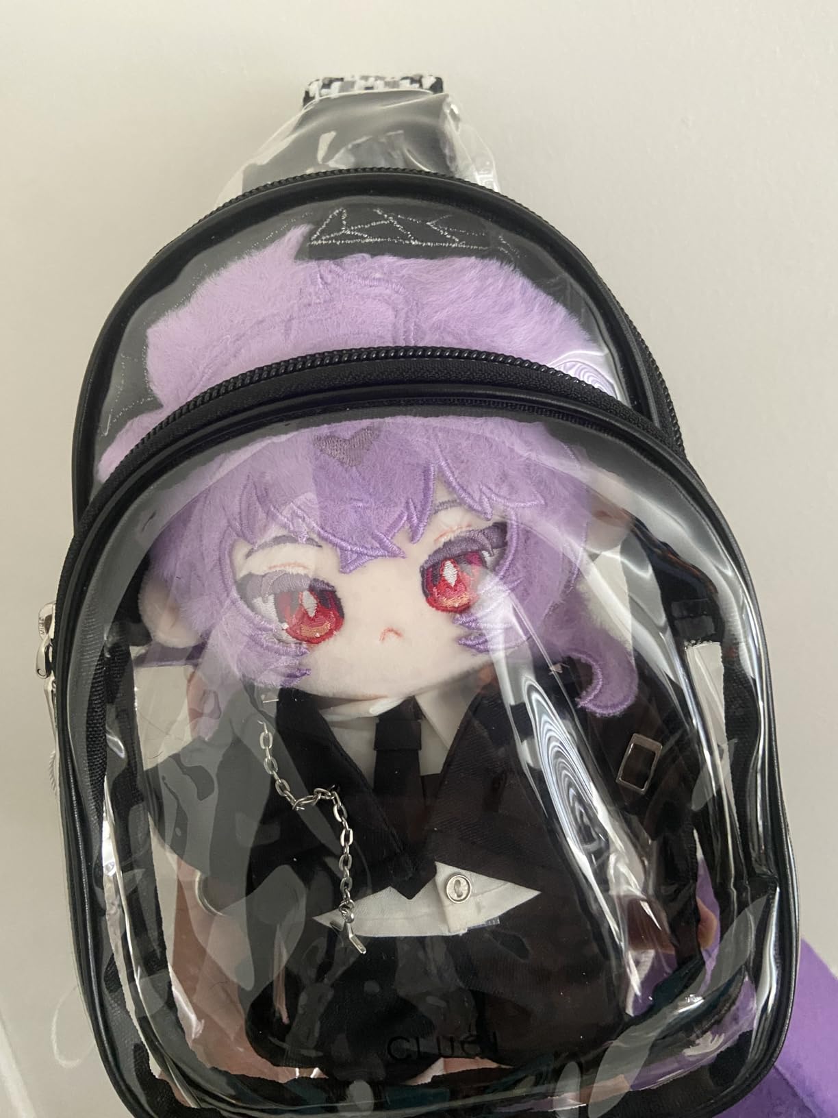CLUCI Clear Bag for Stadium Events, Clear Crossbody Bag, Transparent Purses customer photo 2