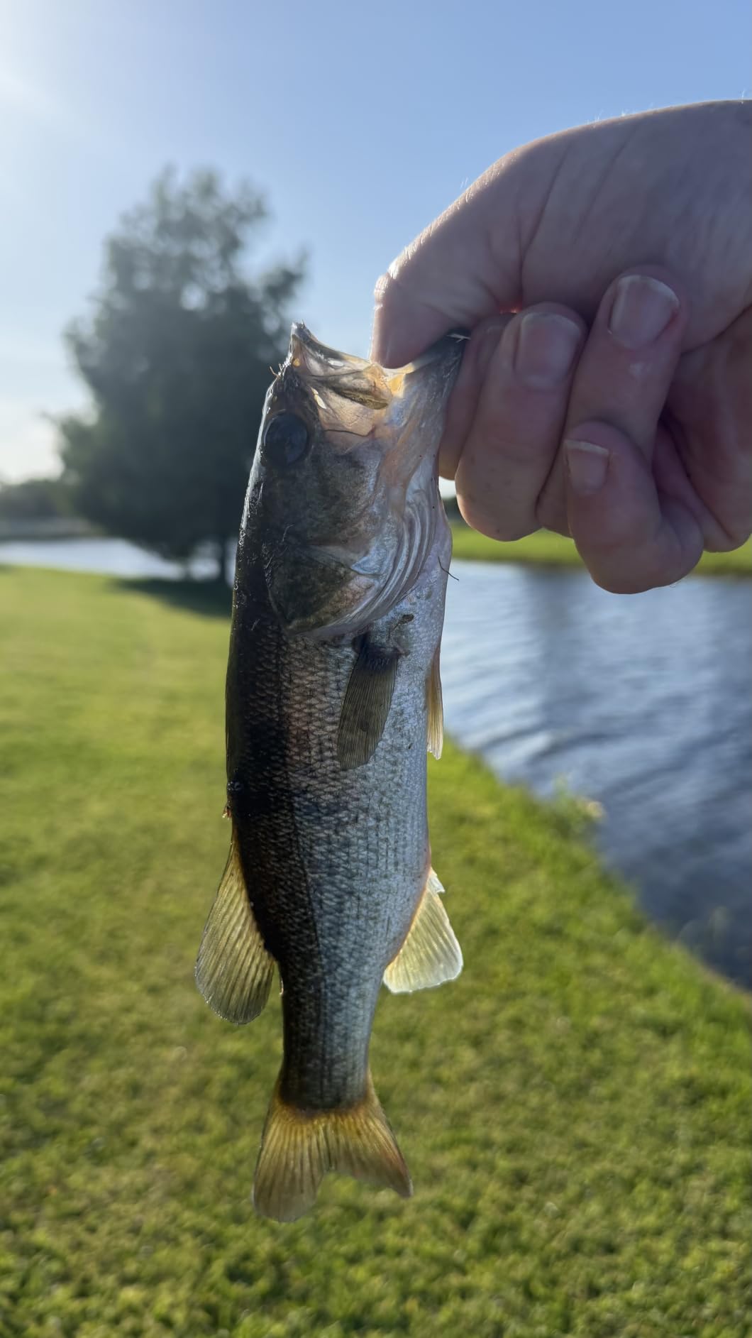 OJY&DOIIIY Weighted Texas Rig Hooks, Weedless Swimbait Jig Heads for Bass Fishing 1/8 3/16 1/4 3/8oz customer photo 2