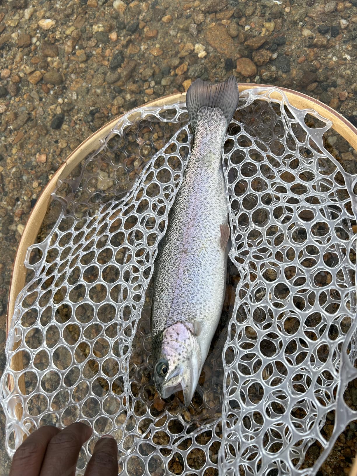 Riverruns Fly Fishing Net Landing Net Wooden Net Soft Rubber Mesh Trout Net Freshwater Saltwater Fishing Net with Safety Cord Net Gifts for Father Men customer photo 1