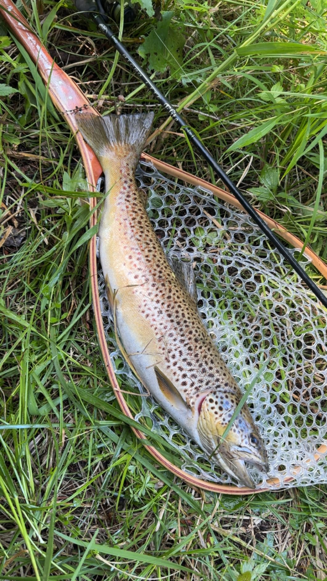 Riverruns Fly Fishing Net Landing Net Wooden Net Soft Rubber Mesh Trout Net Freshwater Saltwater Fishing Net with Safety Cord Net Gifts for Father Men customer photo 2