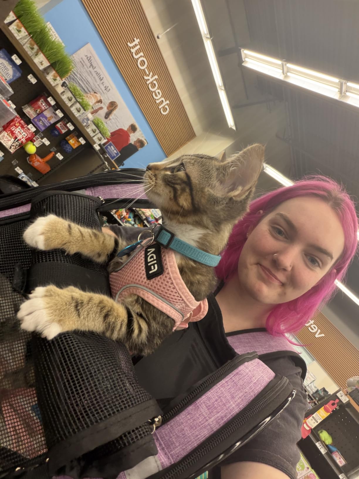 PetAmi Dog Backpack Carrier for Cats, 4-Way Entry Ventilated, 18 lbs, Gray | Sherpa Bed Included, Foldable Load-In Top, Safety Reflective Strap, Breathable Mesh, Poop Bag Dispenser, Padded Back Support customer photo 1