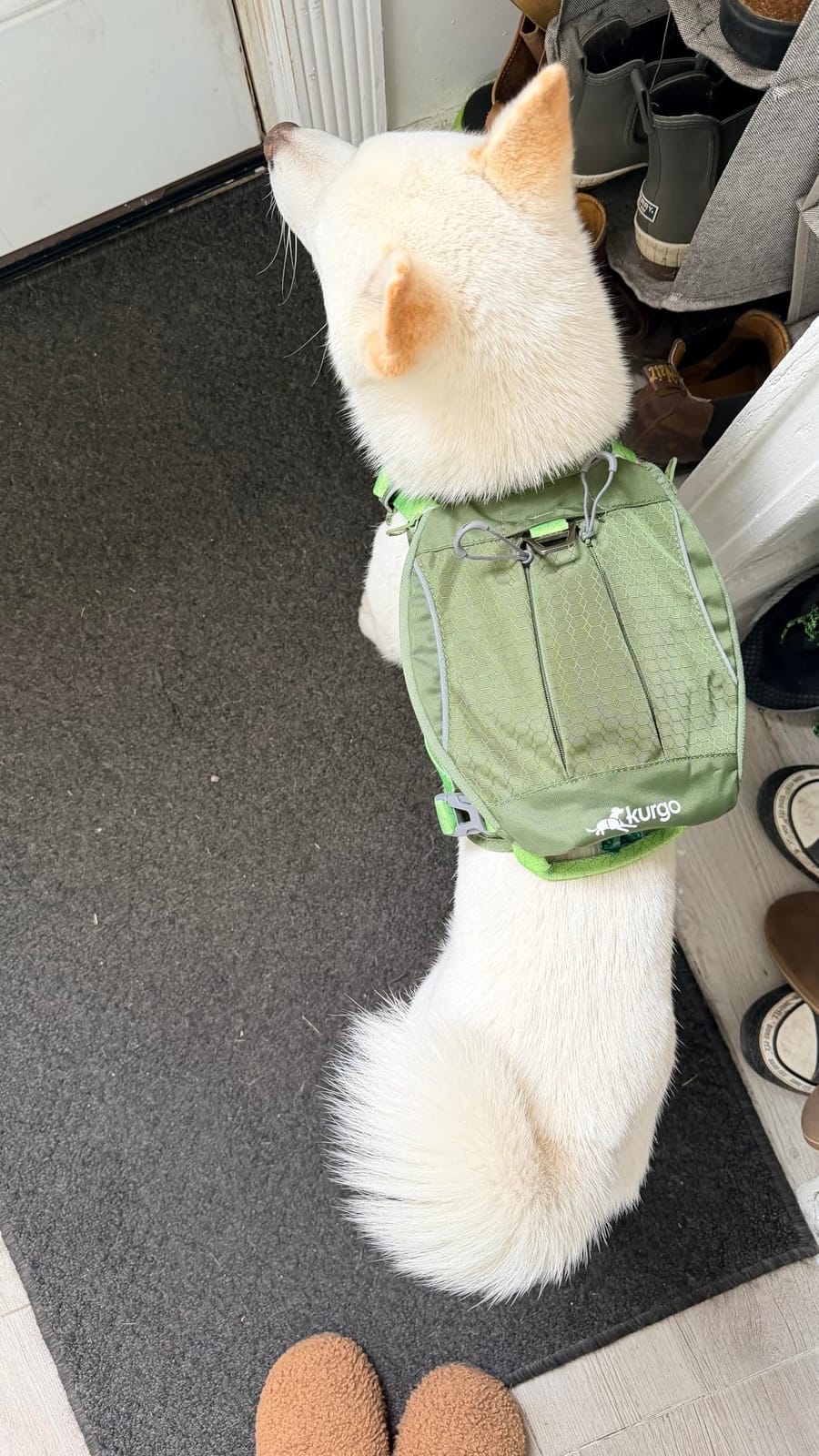 Kurgo Cascade Hiking Harness Backpack for Dogs, Green, Large | 2-In-1 Harness with 3-Pocket Hiking Backpack, 4 Adjustment Points, Padded Chest and Belly, Two Leash Points customer photo 1